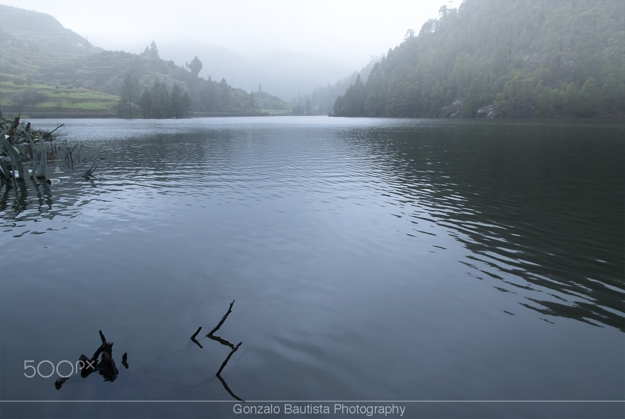 Nikon D40X sample photo. Serenity. photography
