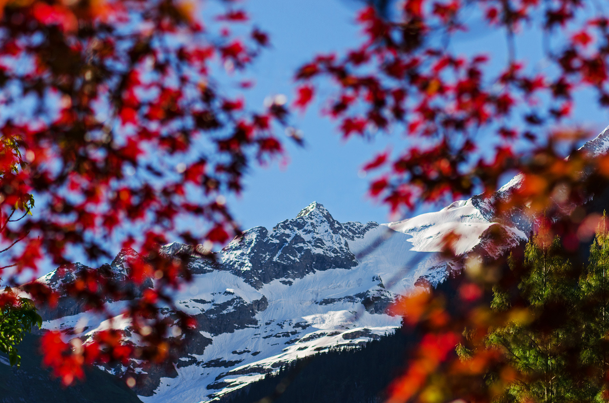 AF Zoom-Nikkor 70-210mm f/4 sample photo. Grindelwald photography
