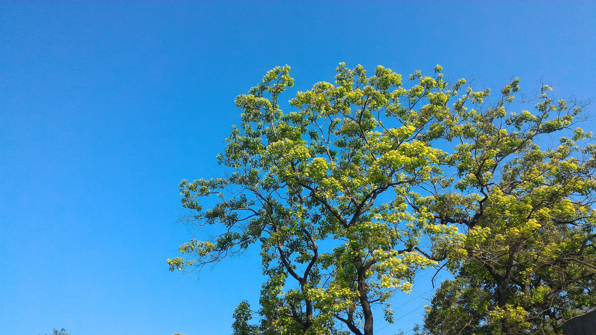ASUS Z00ADB sample photo. 天高云淡 photography