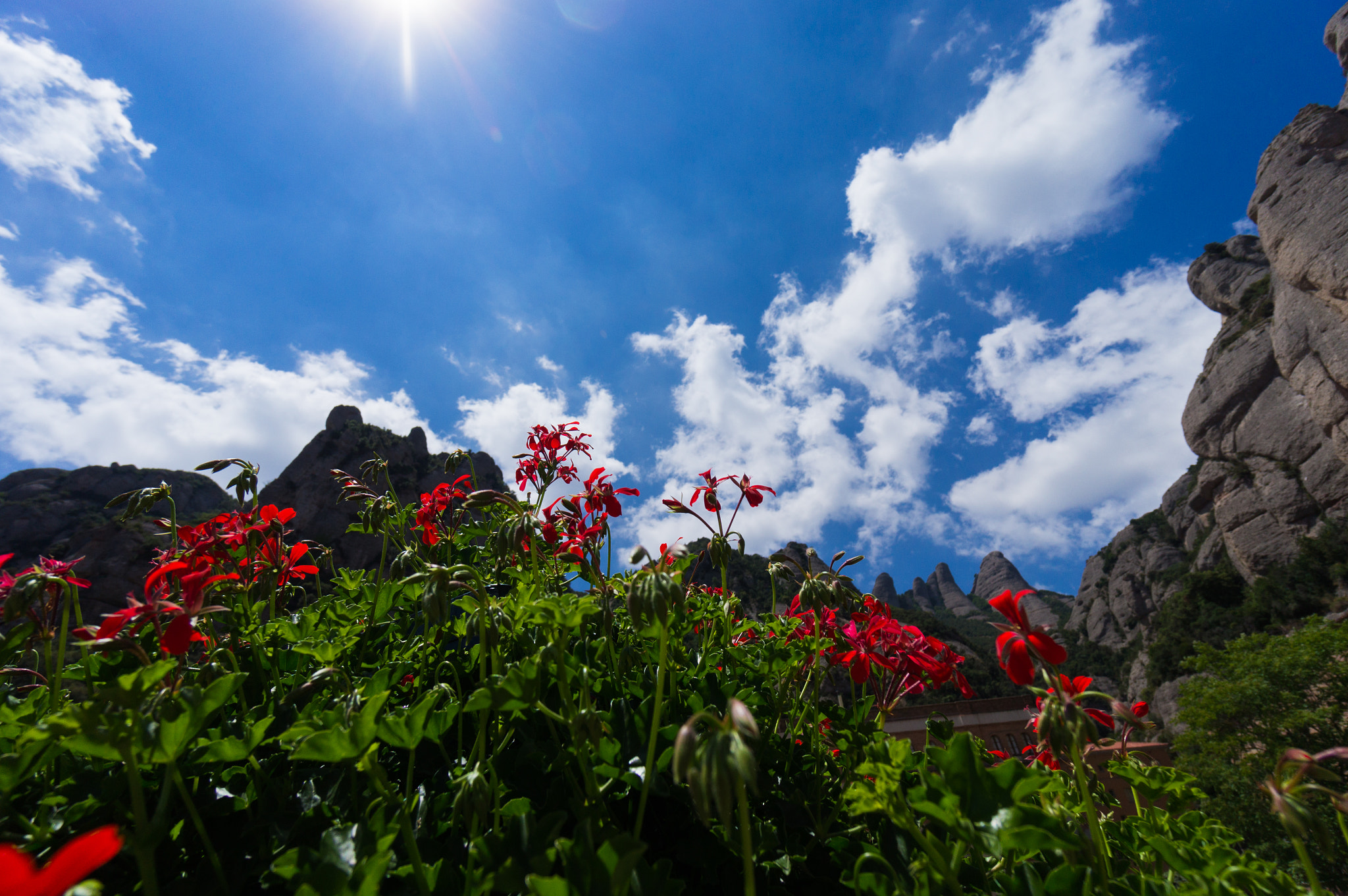 Sony Alpha NEX-F3 sample photo. Spain. montserrat. photography