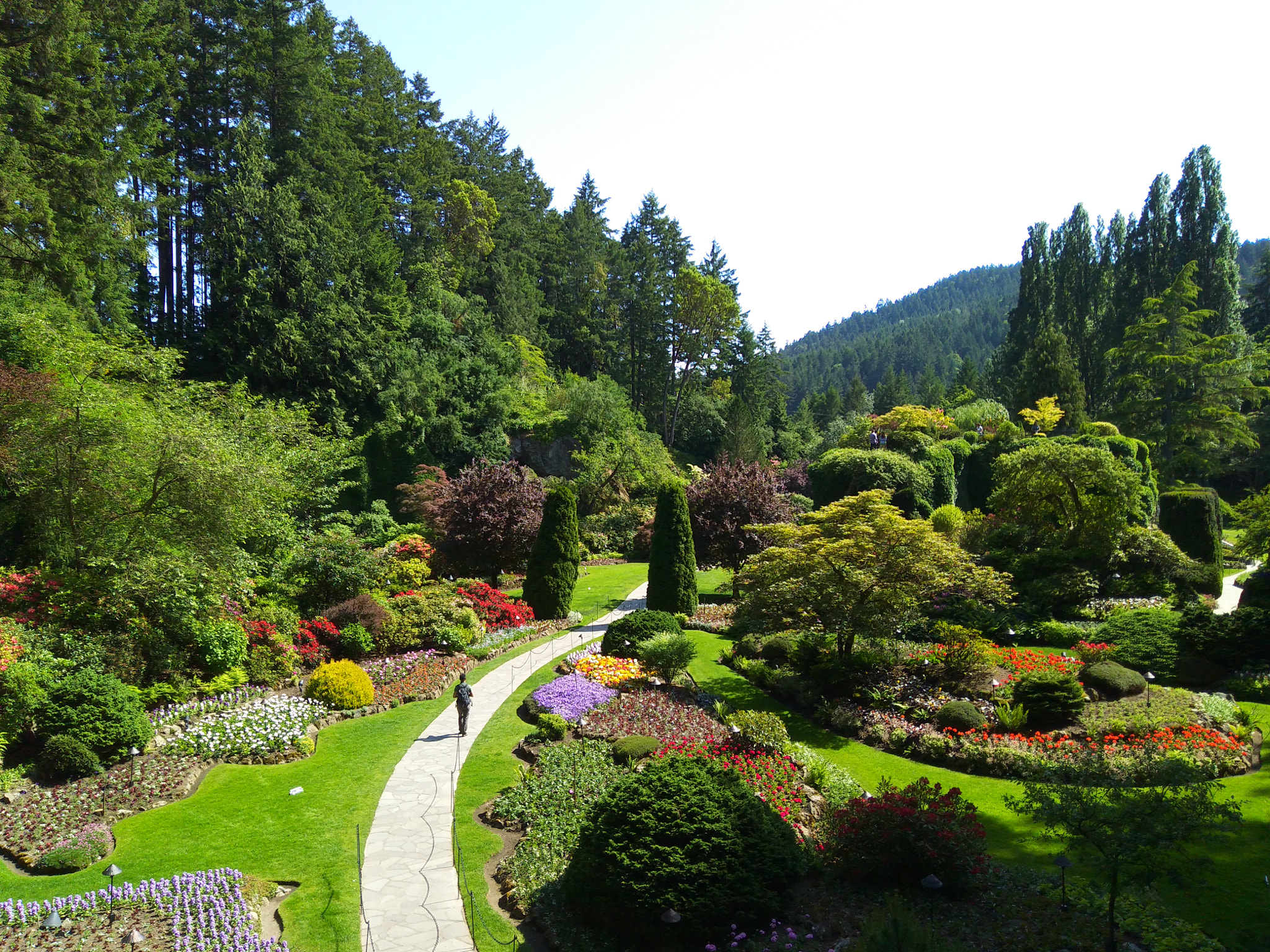 ZTE N939ST sample photo. Butchard gardens photography