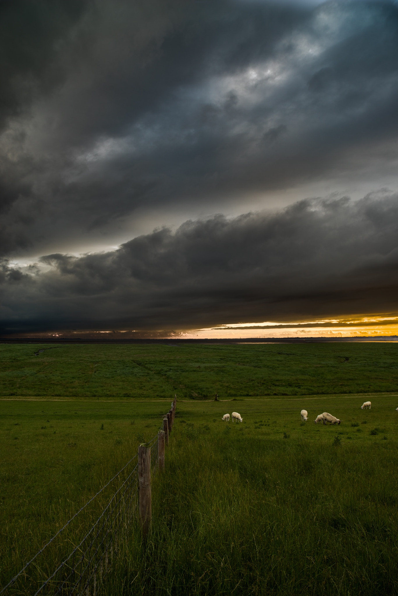 Tamron 18-270mm F3.5-6.3 Di II PZD sample photo. Storm with sheep photography