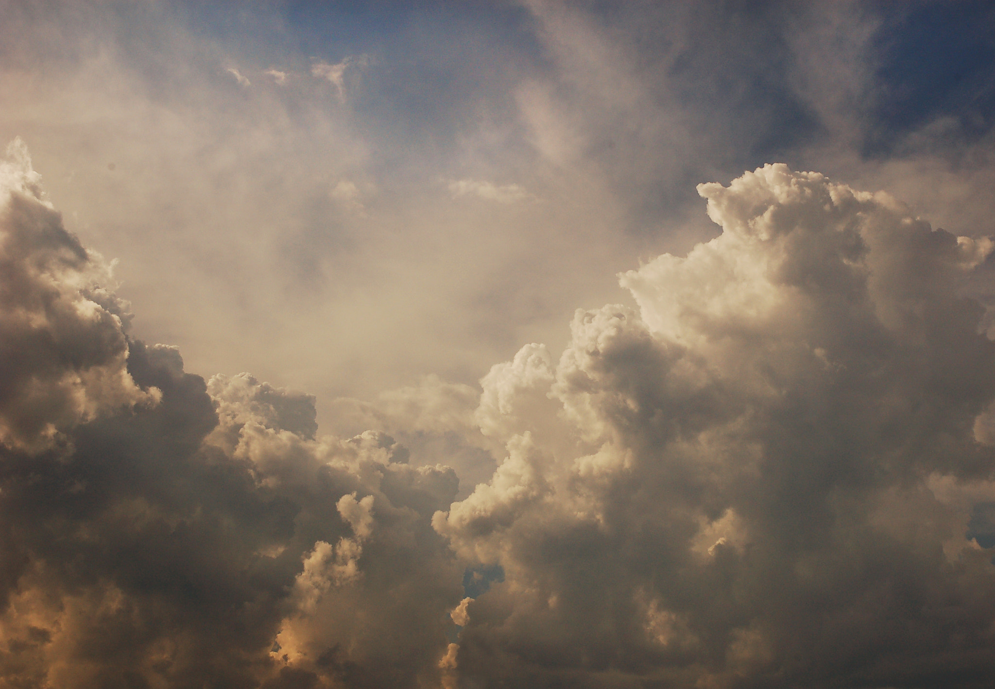 Nikon D50 sample photo. Cottoncandy photography