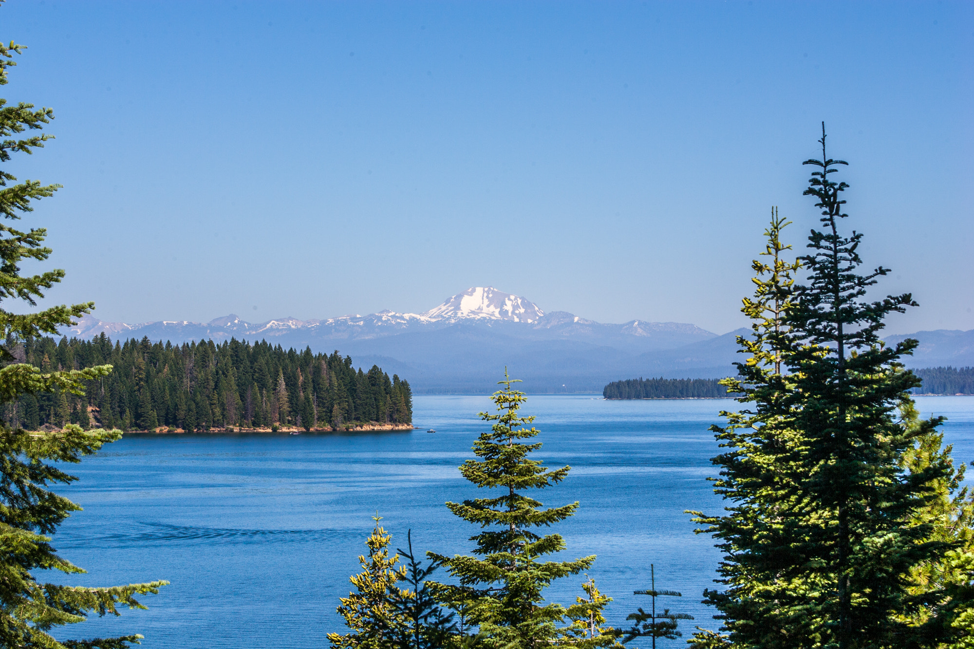 Canon EF 80-200mm f/2.8L sample photo. Lake almanor photography