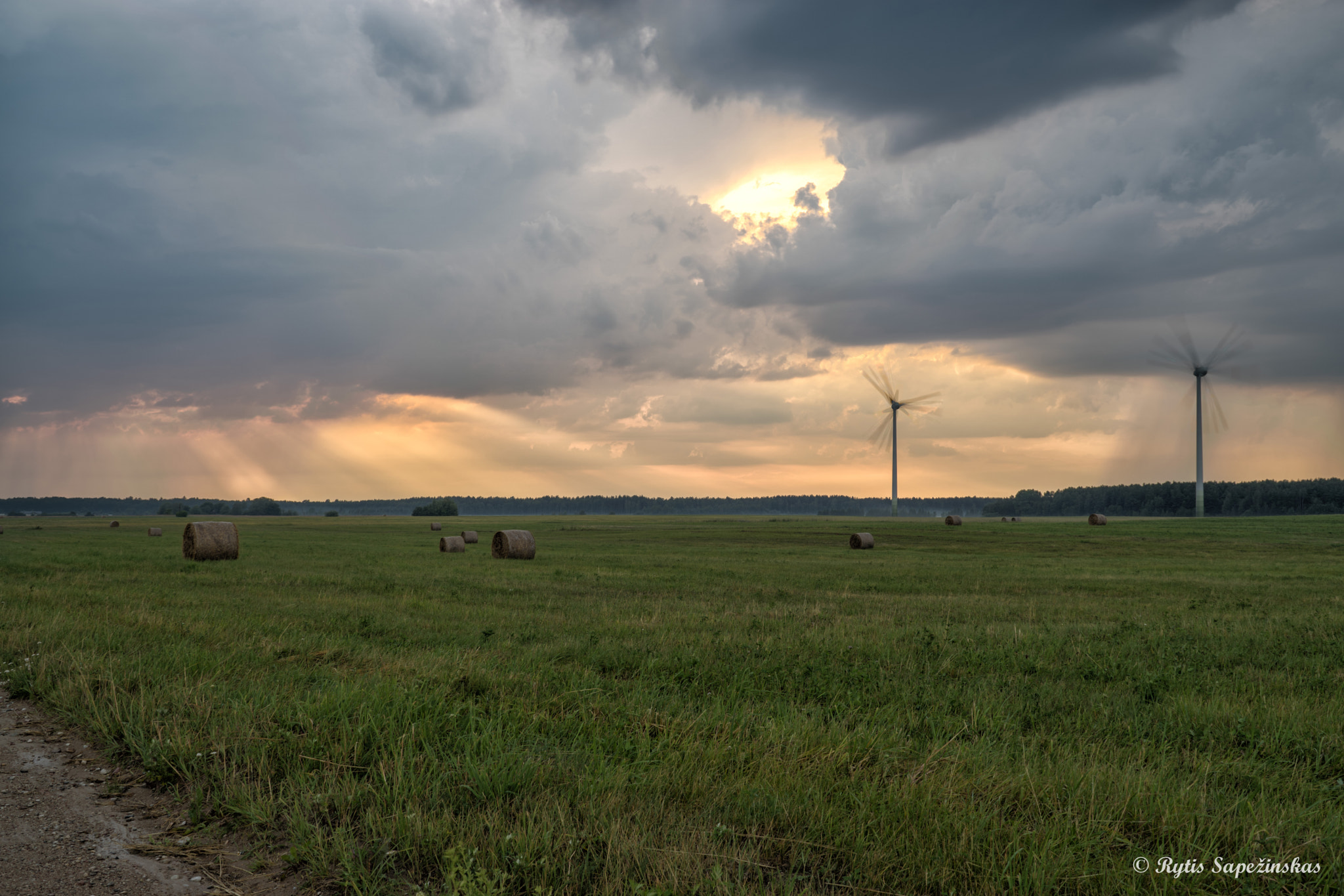 Sony DT 18-200mm F3.5-6.3 sample photo. Raining like from a bukket photography