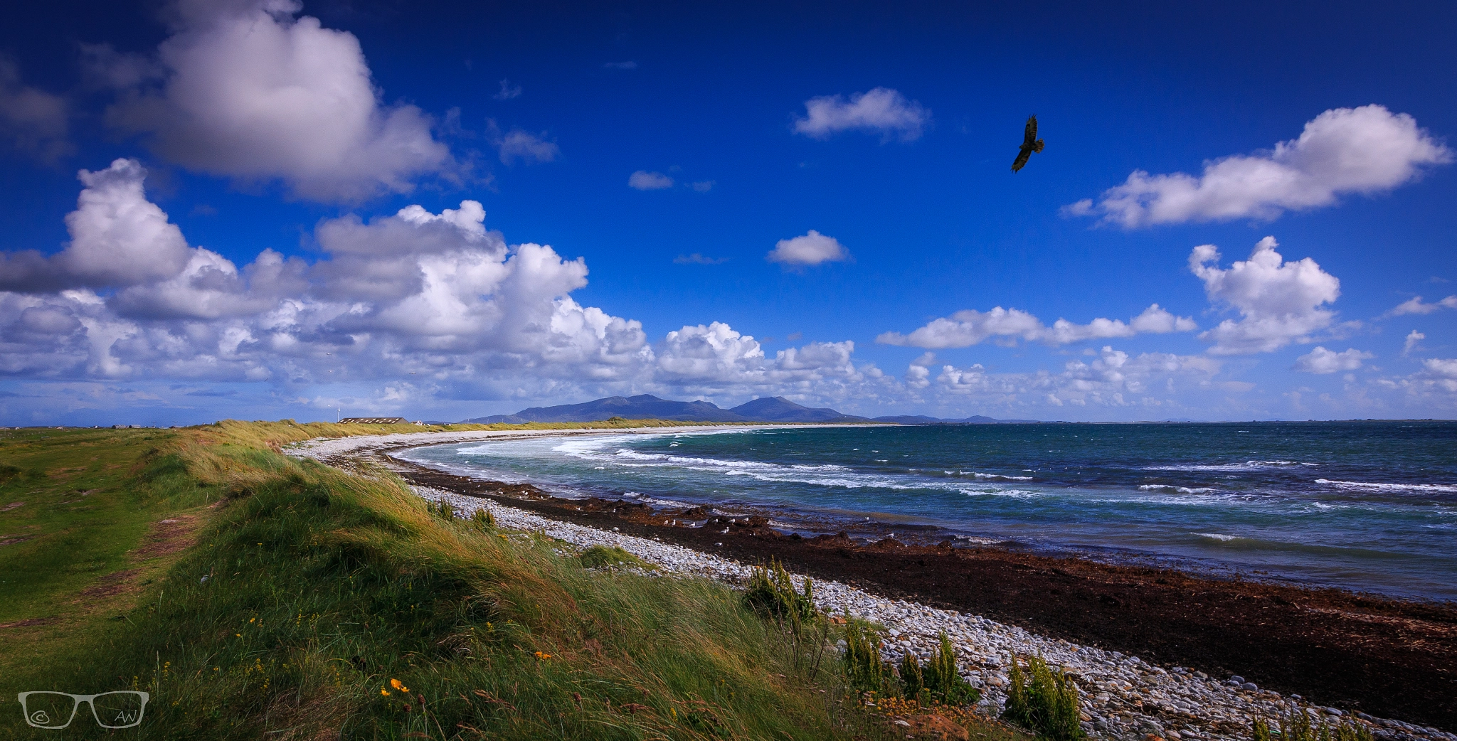 Canon EF-S 10-18mm F4.5–5.6 IS STM sample photo. Soar high and free photography