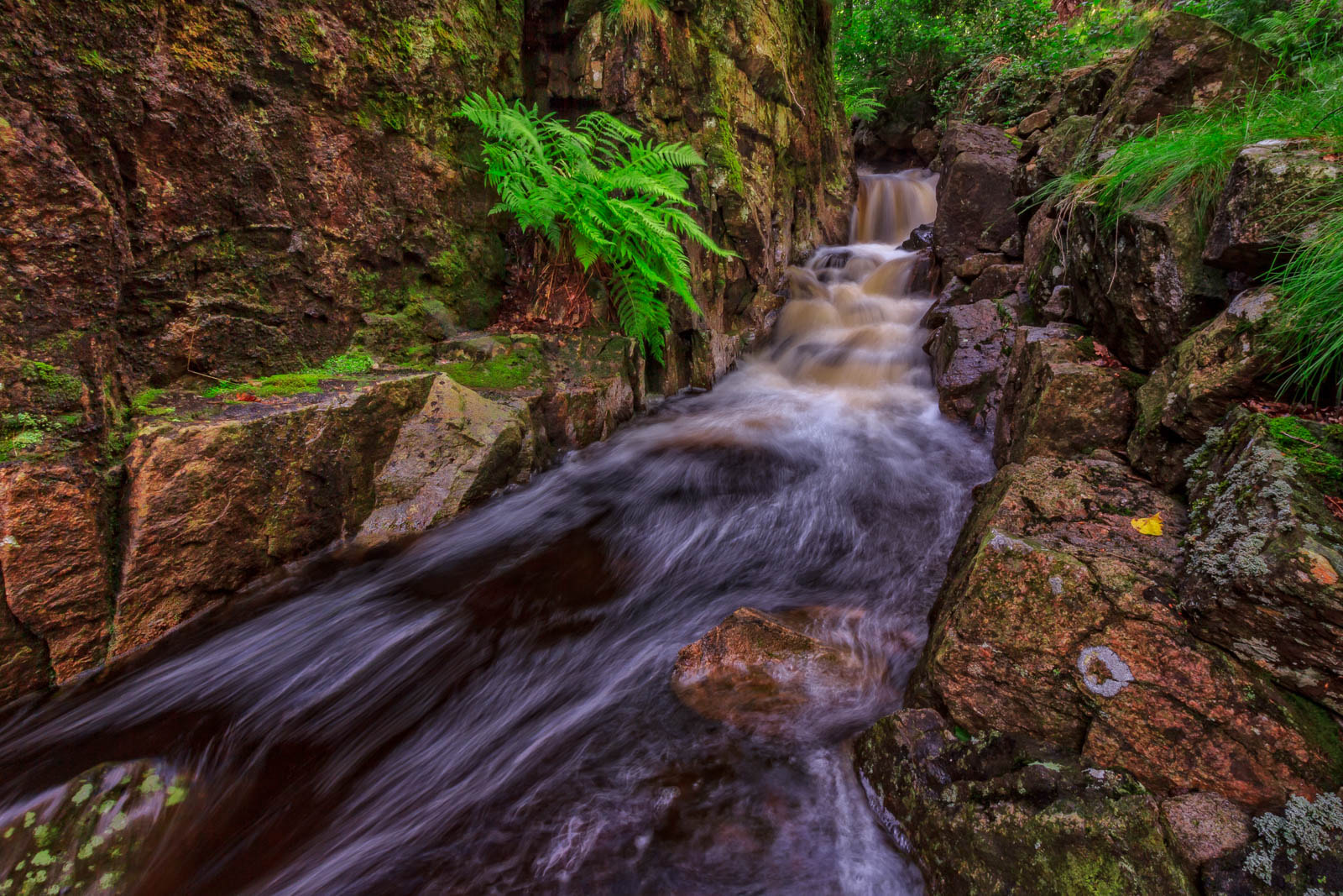 Canon EOS 550D (EOS Rebel T2i / EOS Kiss X4) + Canon EF-S 10-18mm F4.5–5.6 IS STM sample photo. Forest stream photography