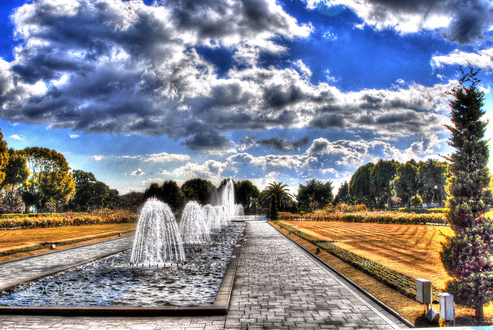 Nikon D200 sample photo. Former emperor park(rikyu kouen) photography