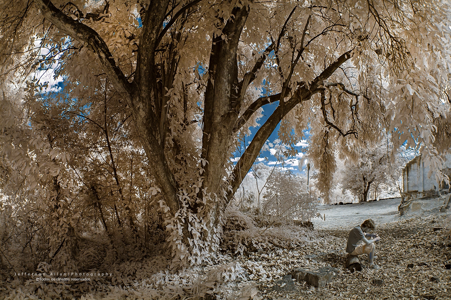 Canon EF 8-15mm F4L Fisheye USM sample photo. Infrared photography