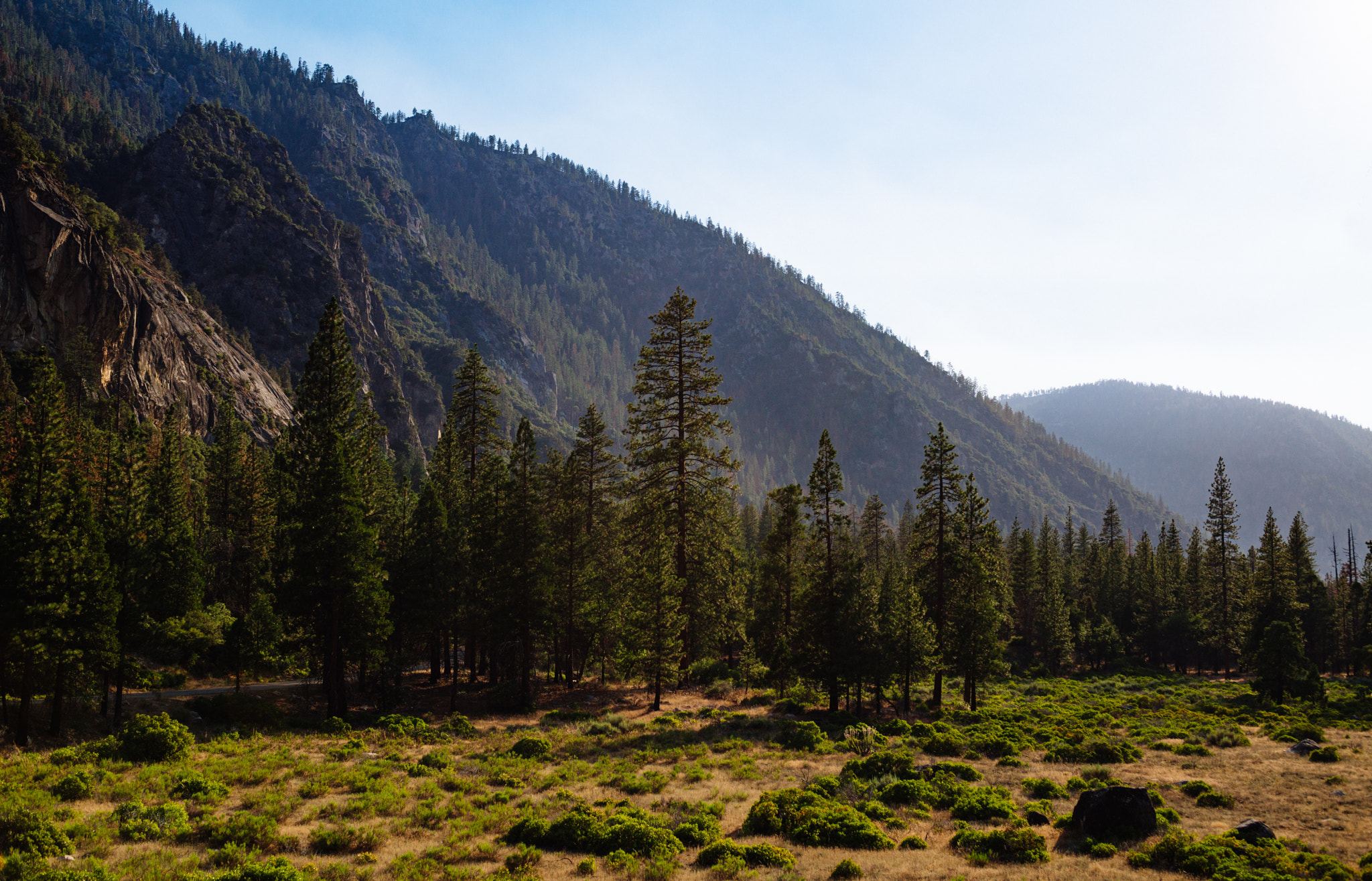 Nikon D800 + AF Zoom-Nikkor 35-70mm f/2.8 sample photo. Late afternoon, kings canyon photography