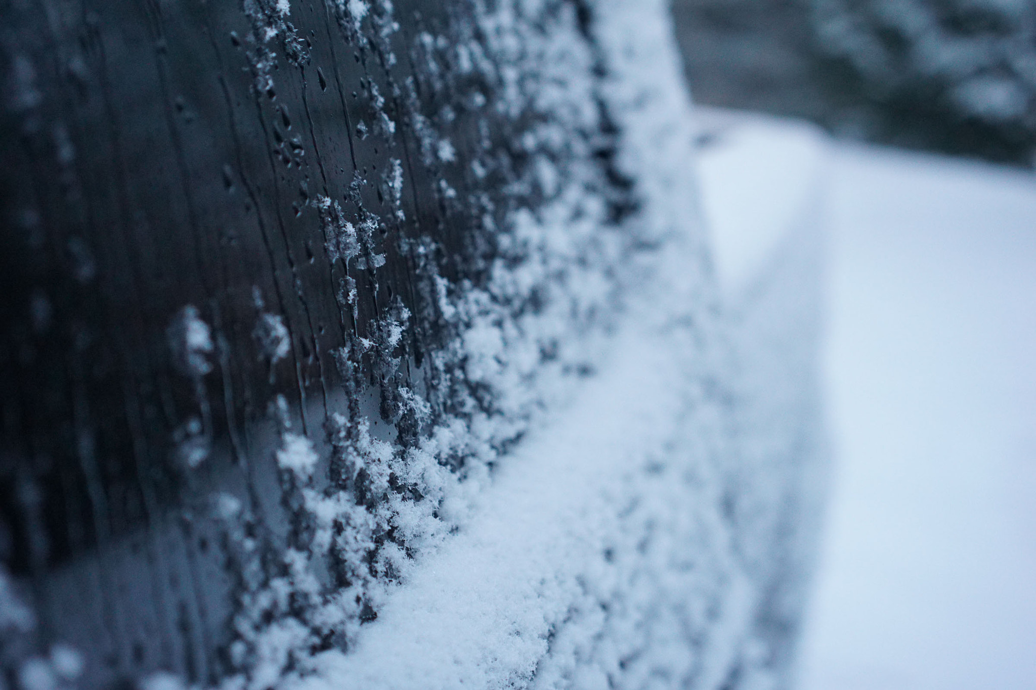 Sony a6000 + Sony Sonnar T* FE 35mm F2.8 ZA sample photo. () photography