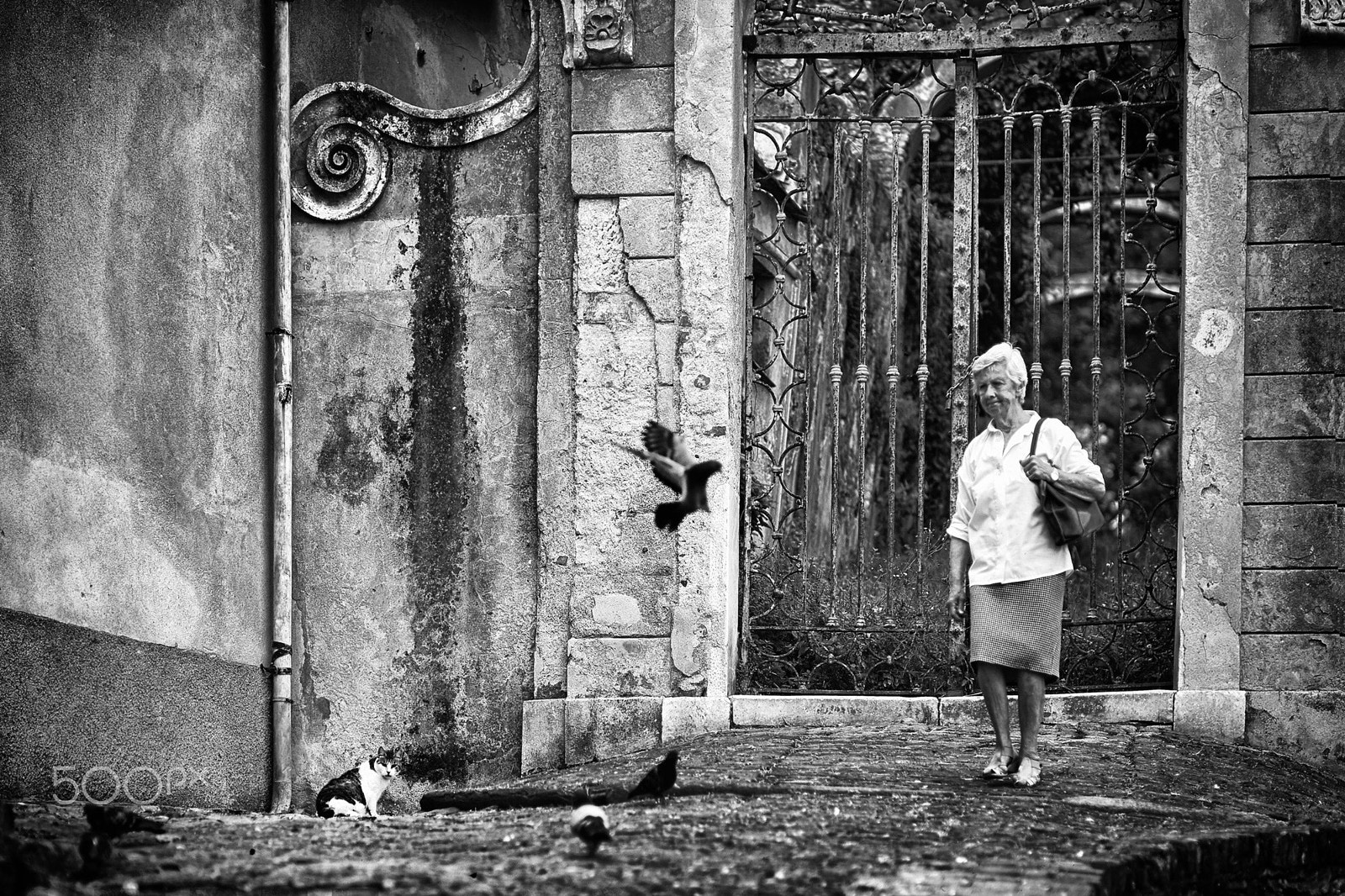 Sony Planar T* 85mm F1.4 ZA sample photo. Santa margherita, 2016 photography