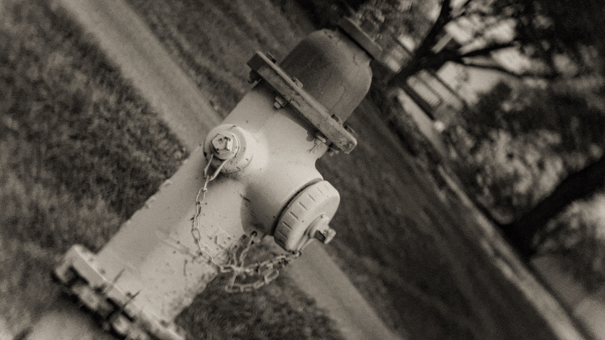 Jag.gr 645 PRO Mk III for Apple iPhone 6s Plus sample photo. Fire hydrant photography