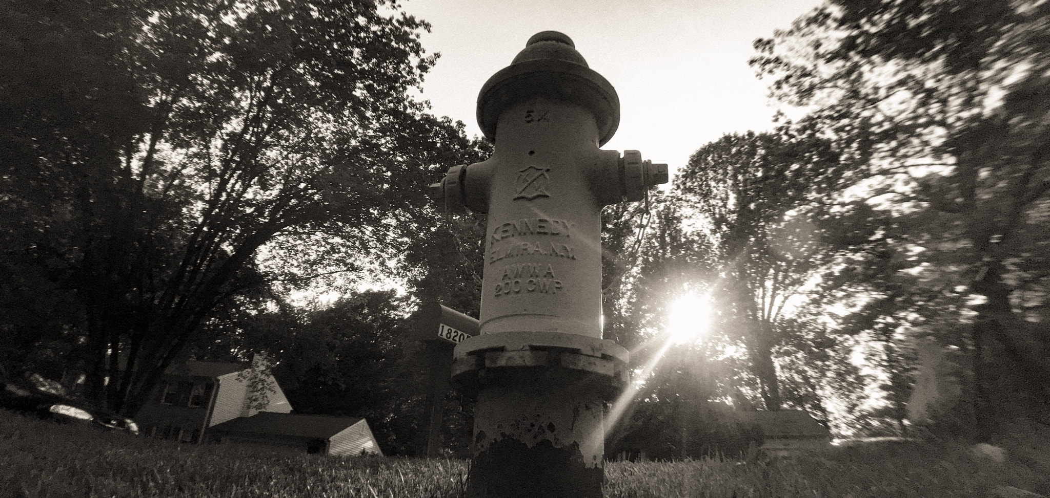 Jag.gr 645 PRO Mk III for Apple iPhone 6s Plus sample photo. Fire hydrant photography