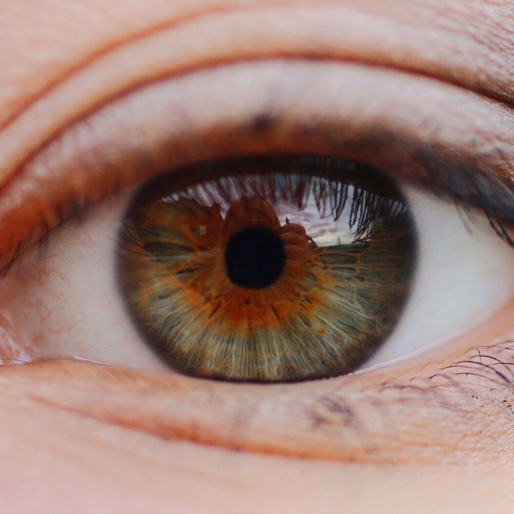 Canon EOS 70D + Canon EF 50mm F2.5 Macro sample photo