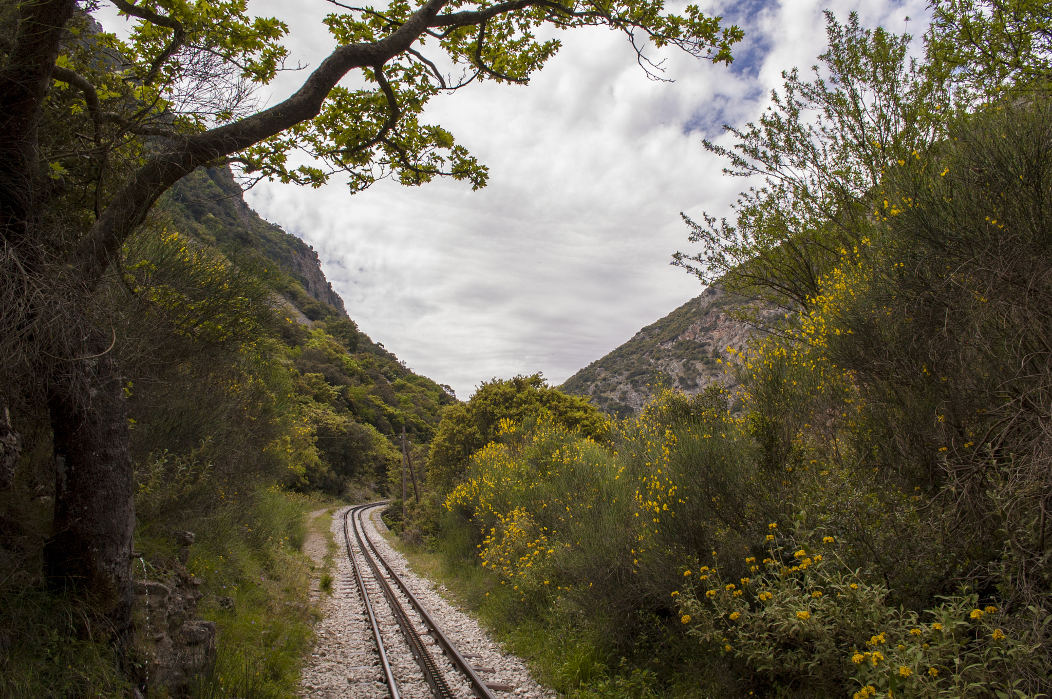 Nikon D70 sample photo. Rack railway at vouraikos gorge, greece photography