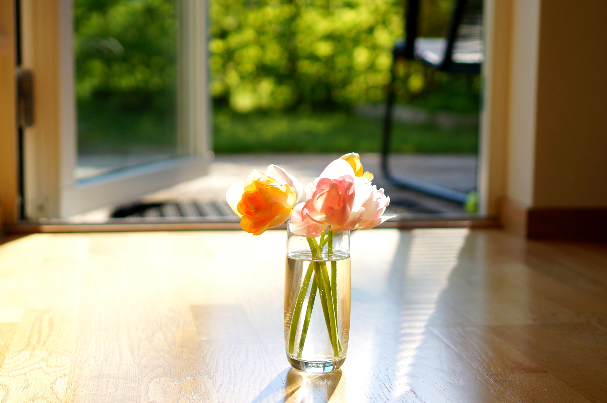 Sony E 35mm F1.8 OSS sample photo. Summer evening photography