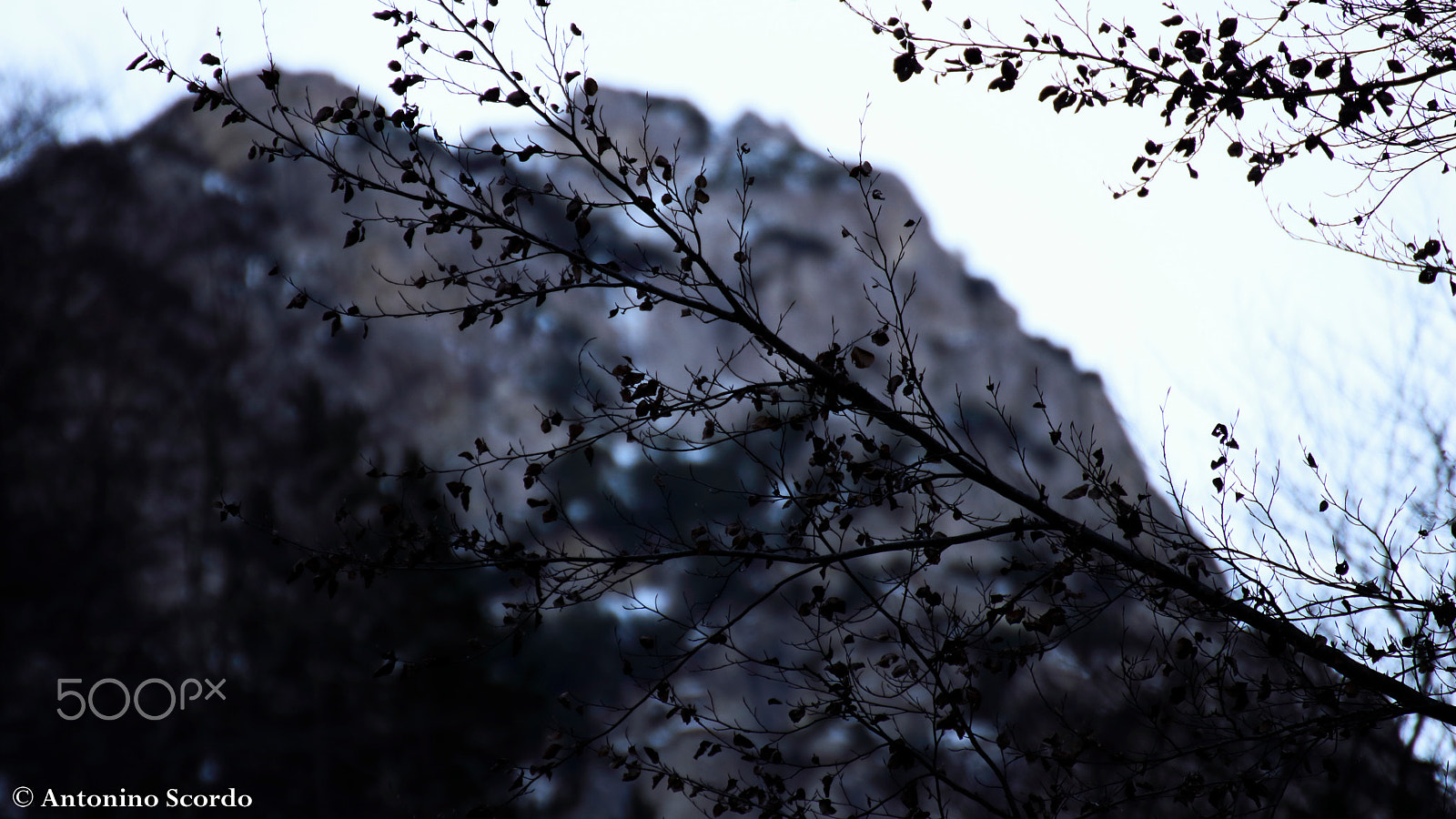 Tamron SP 35mm F1.8 Di VC USD sample photo. Abruzzo dicembre 2015 6 photography