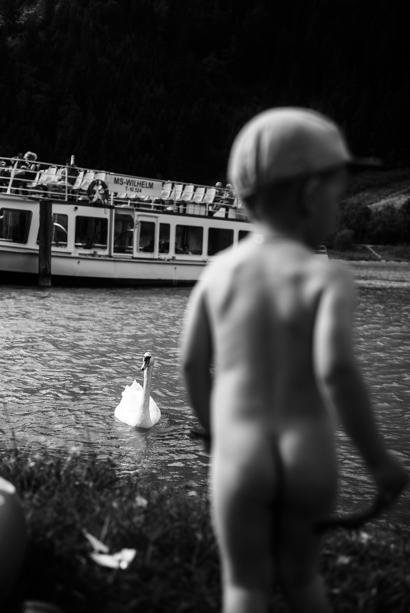 Leica Summarit-M 50mm F2.5 sample photo. White swan photography