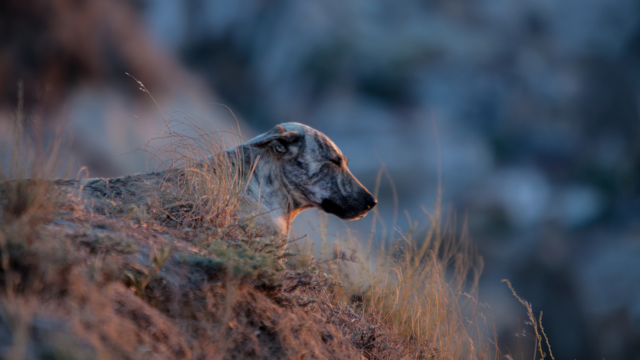 Canon EF 70-200mm F2.8L IS USM sample photo. Capadócia turquia photography