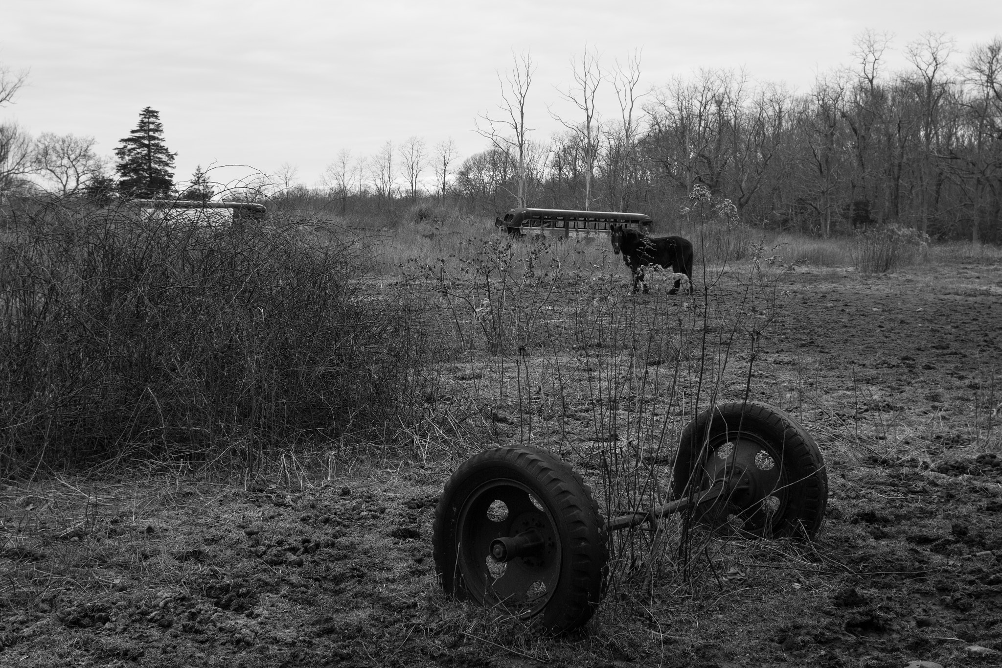 Canon EOS 70D + Canon EF 28mm F1.8 USM sample photo. Rust farm photography