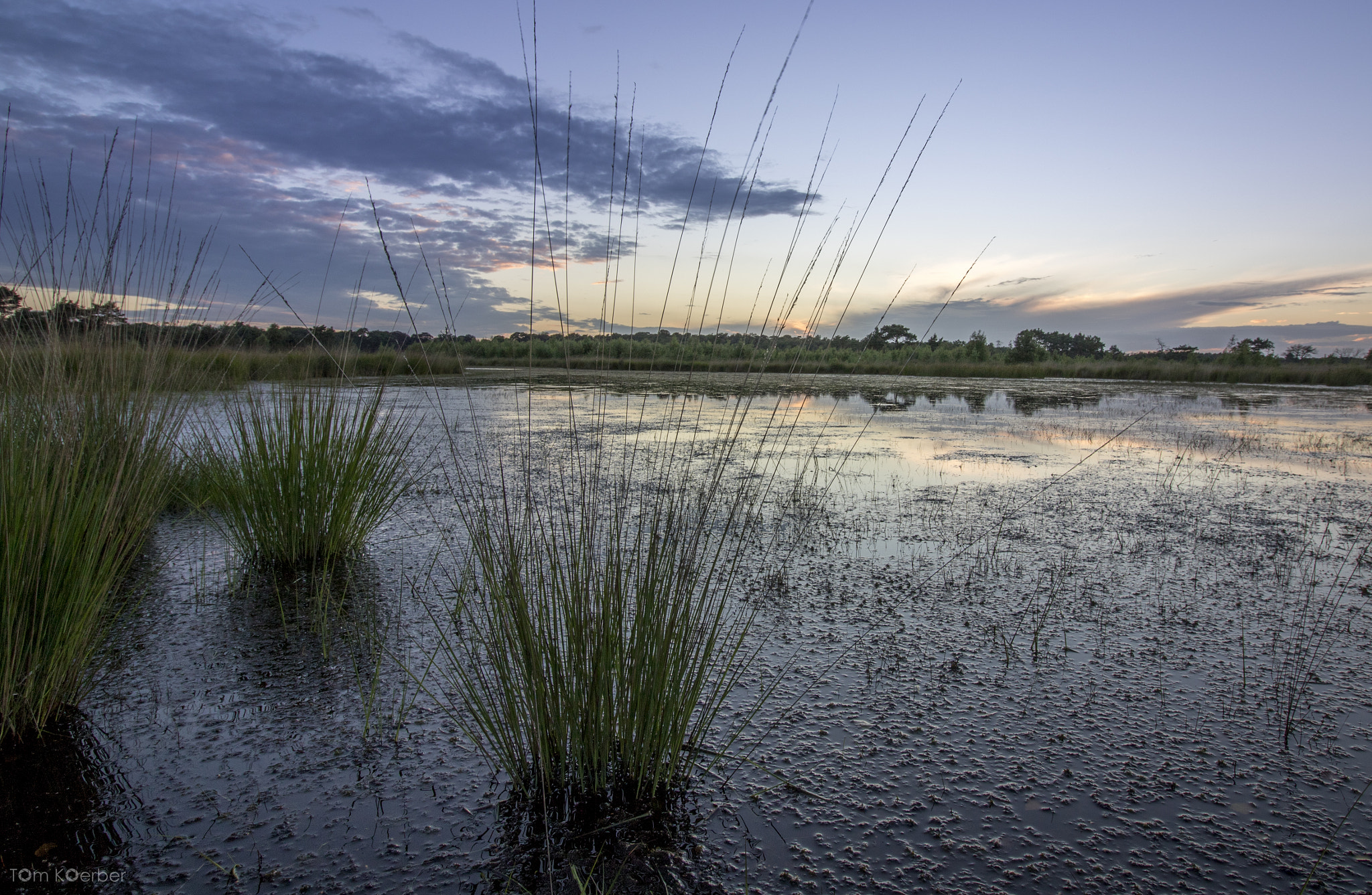 Canon EOS 7D Mark II + Canon EF-S 10-18mm F4.5–5.6 IS STM sample photo. Tko_6446.jpg photography