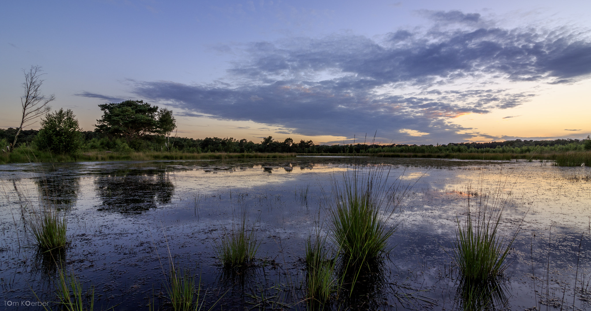 Canon EF-S 10-18mm F4.5–5.6 IS STM sample photo. Tko_6449.jpg photography