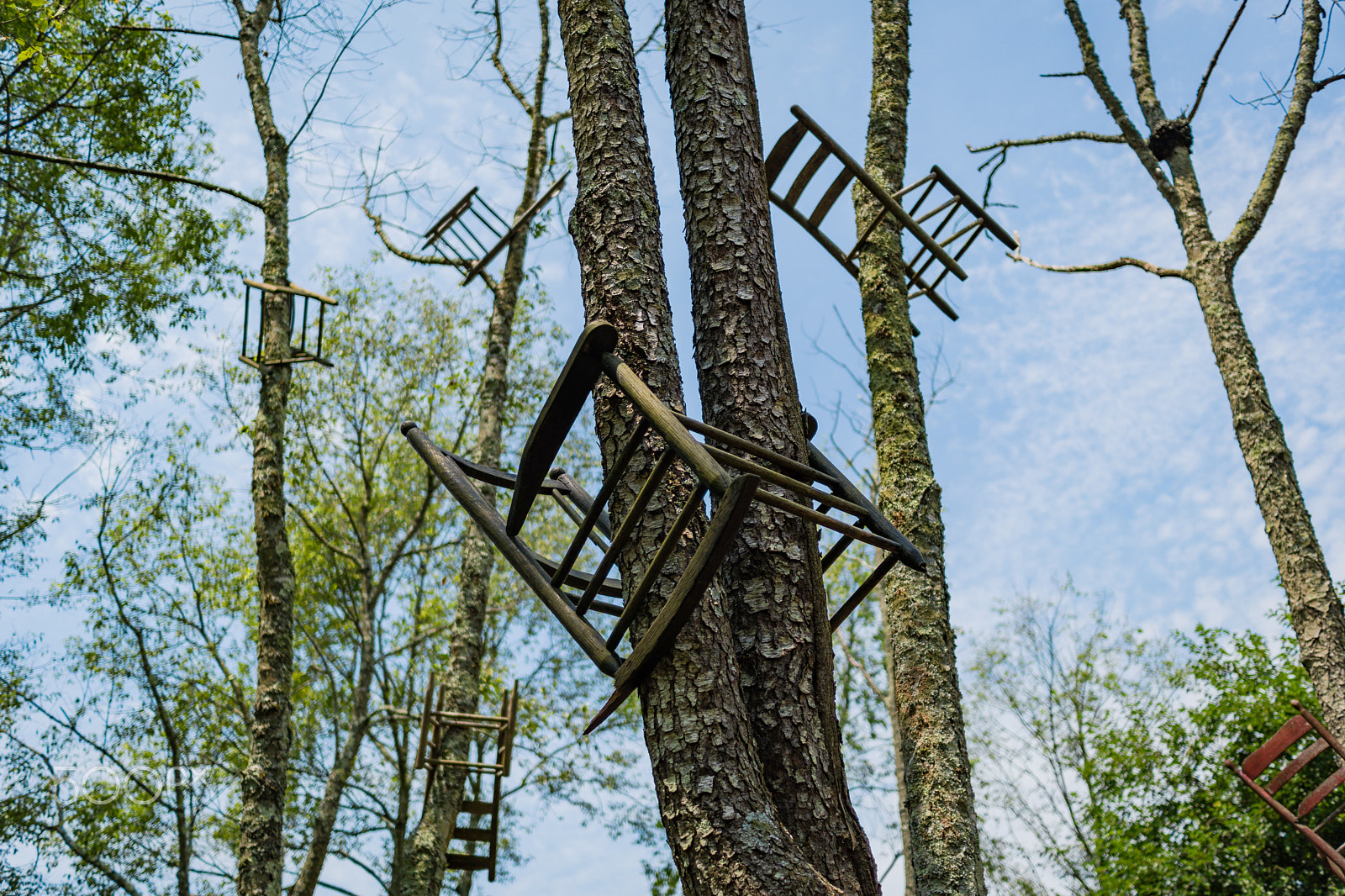 Sony a6300 + Sony Sonnar T* E 24mm F1.8 ZA sample photo. Chairs in trees photography