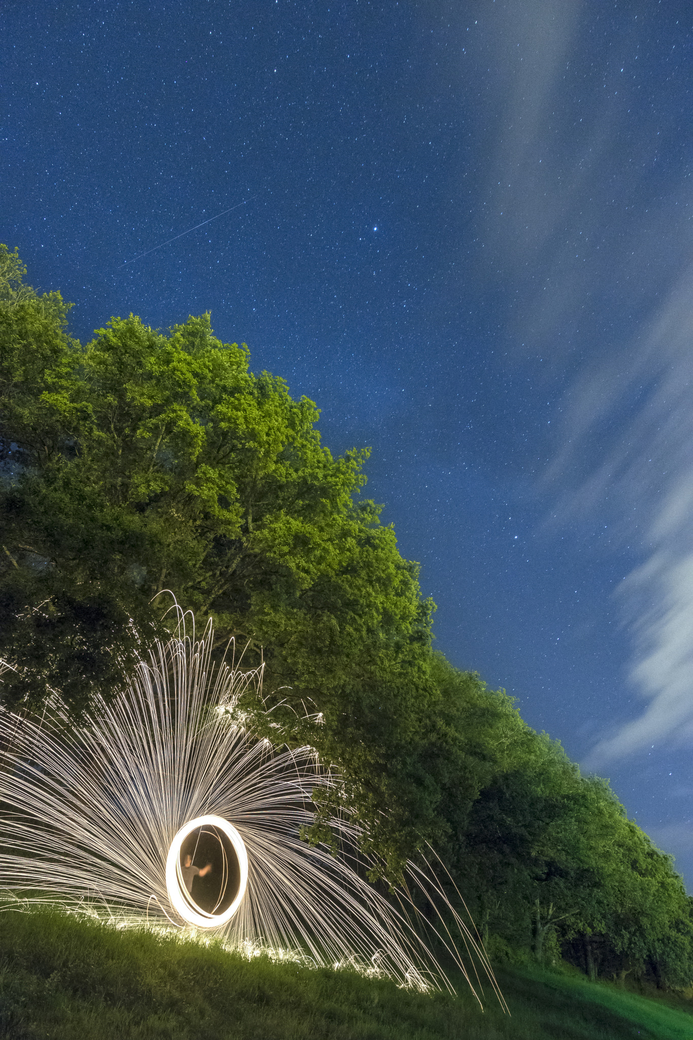 Nikon D500 sample photo. Lightpainting under the trees photography