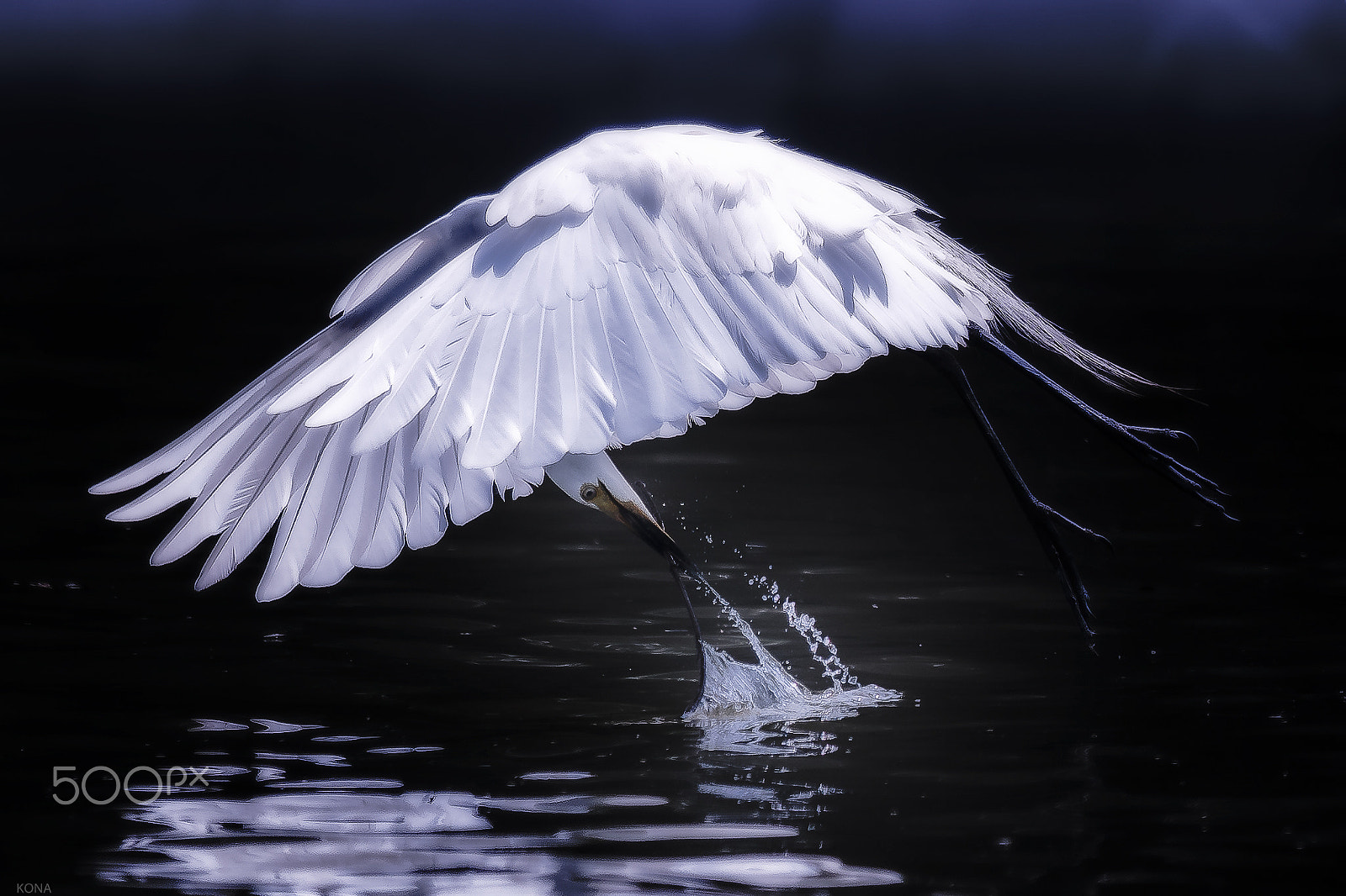 Nikon AF-S Nikkor 400mm F2.8G ED VR II sample photo. Sagi photography