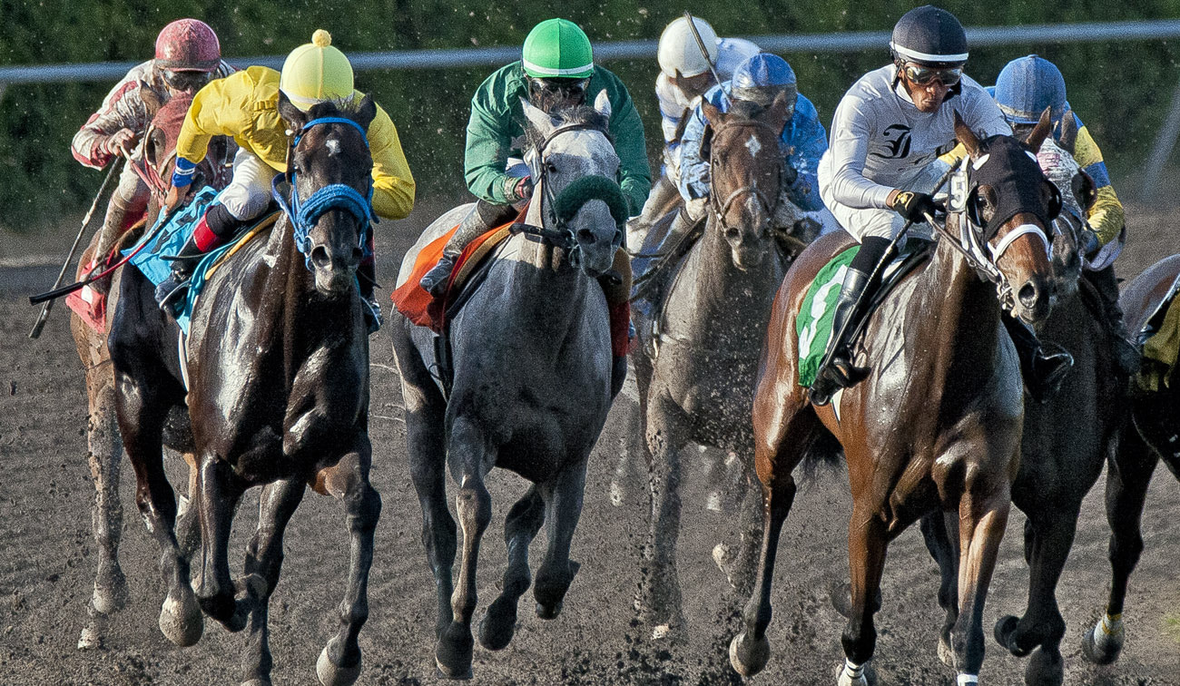 Sigma 150-600mm F5-6.3 DG OS HSM | C sample photo. Rounding the corner photography