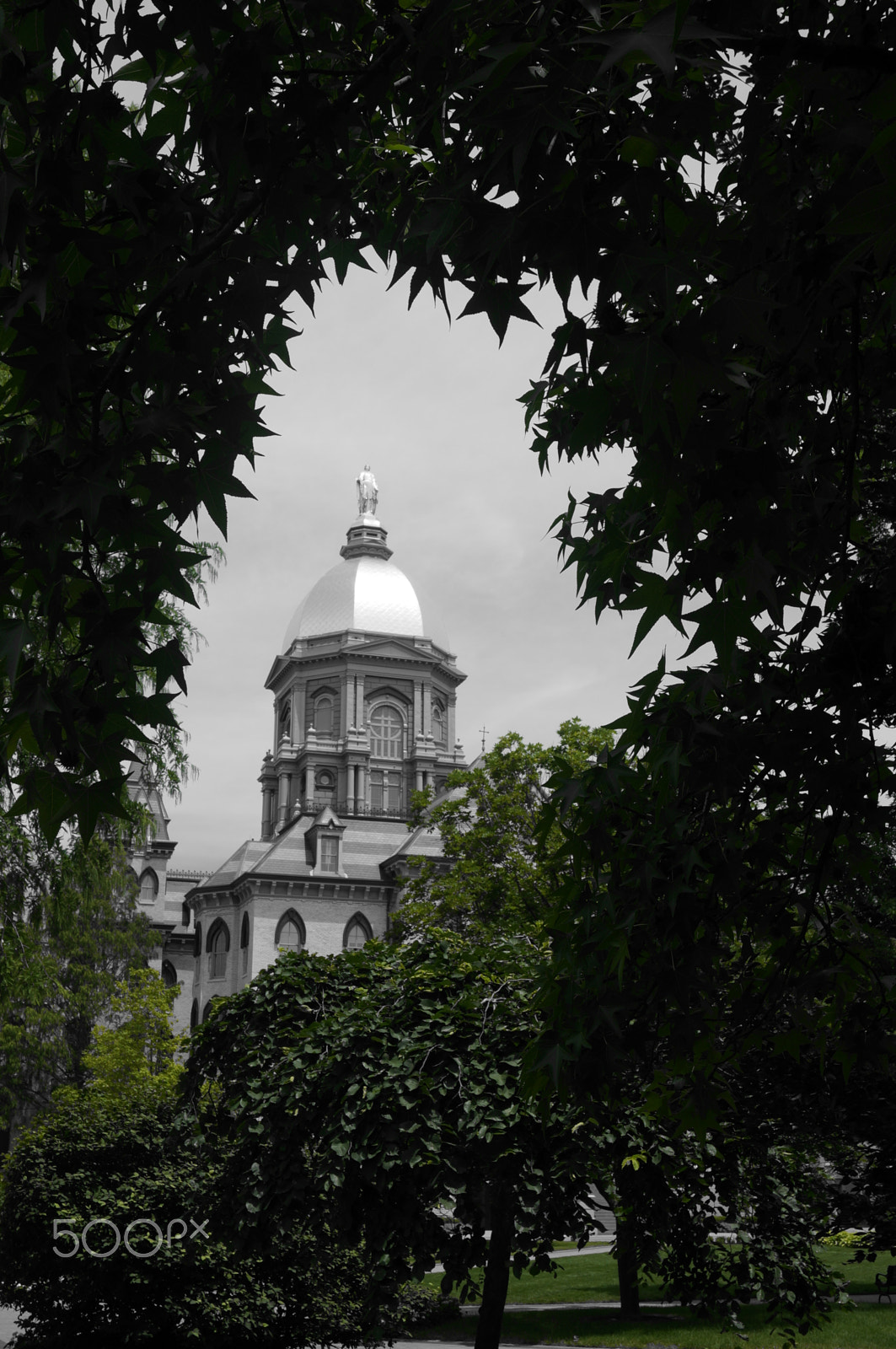 Sony E 16-50mm F3.5-5.6 PZ OSS sample photo. Framed by the trees photography
