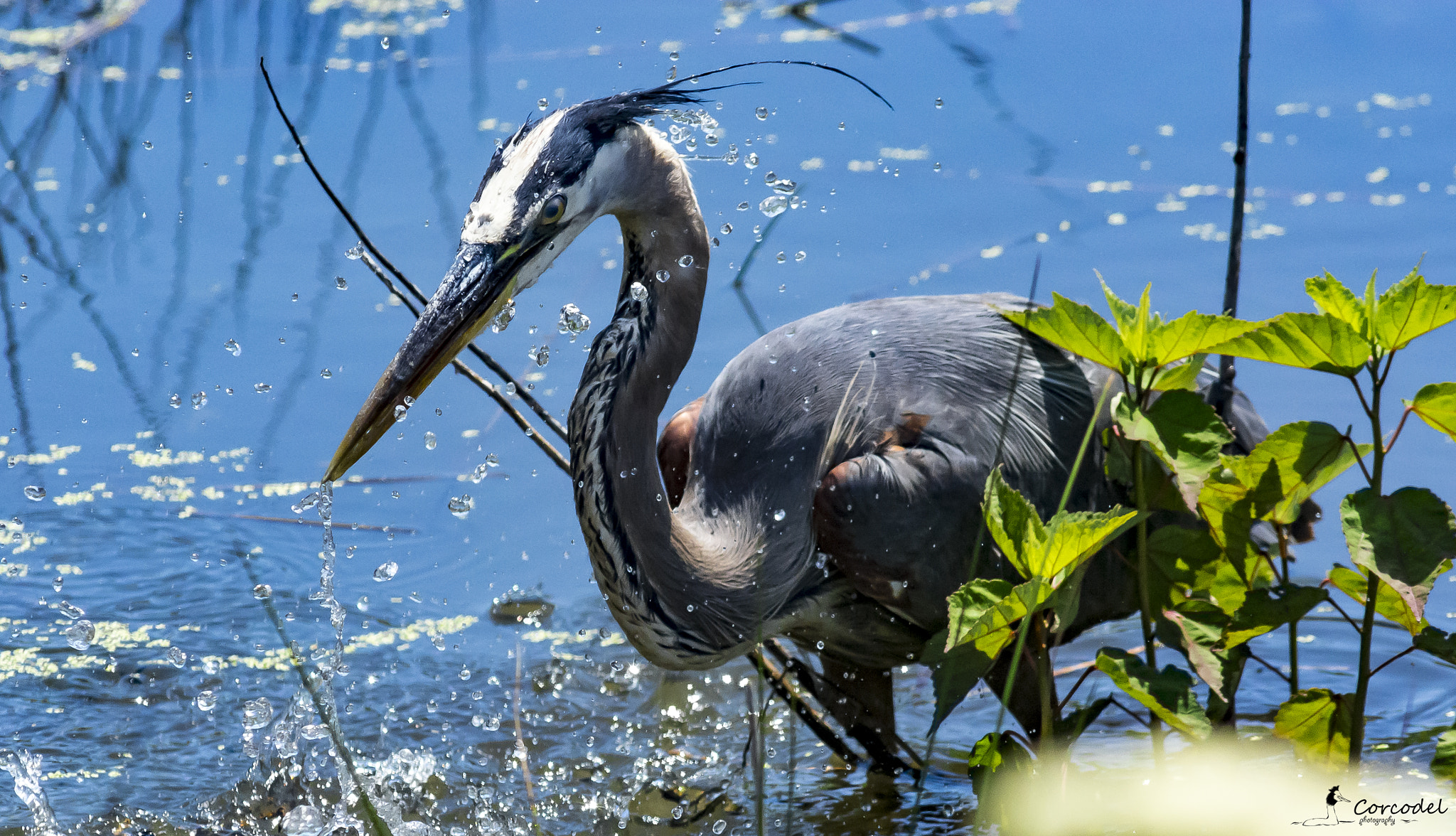 AF Nikkor 300mm f/4 IF-ED sample photo. Out fishing photography