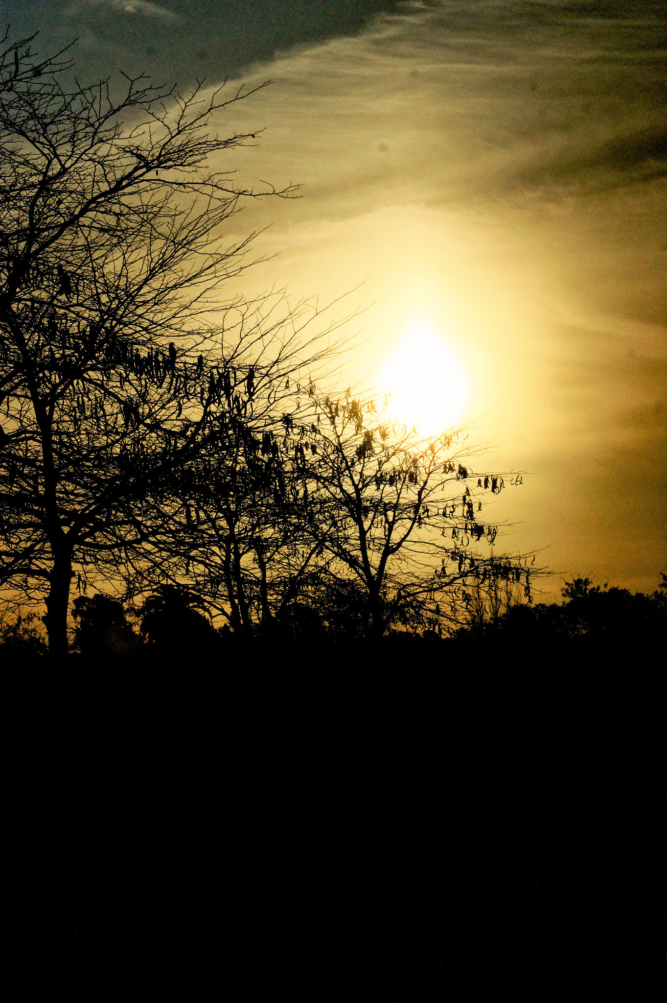 Minolta AF 70-210mm F4.5-5.6 [II] sample photo. Último ocaso del otoño.- photography