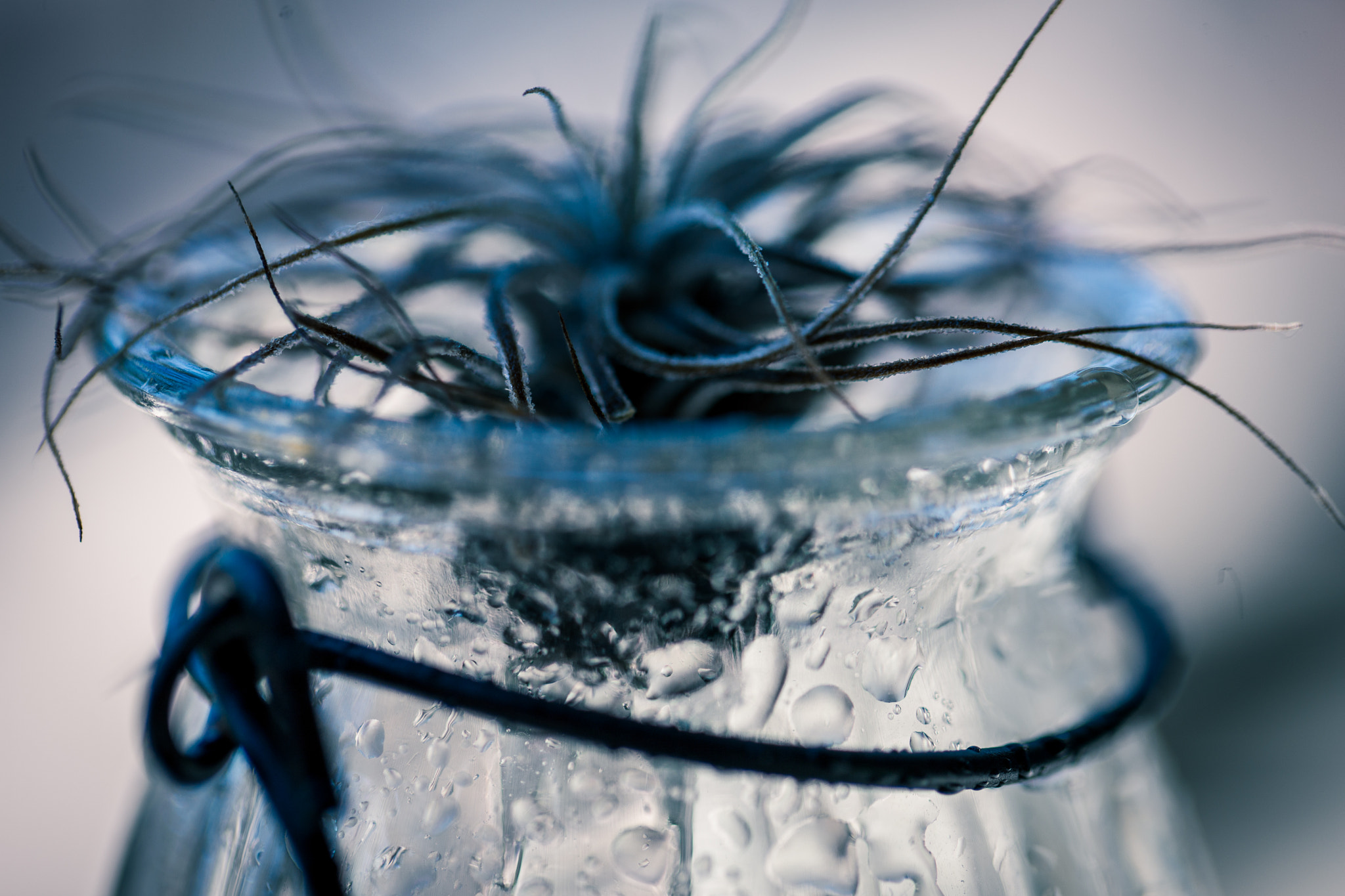 Canon EOS-1Ds Mark III sample photo. 20150911-_y8k8032.jpg photography