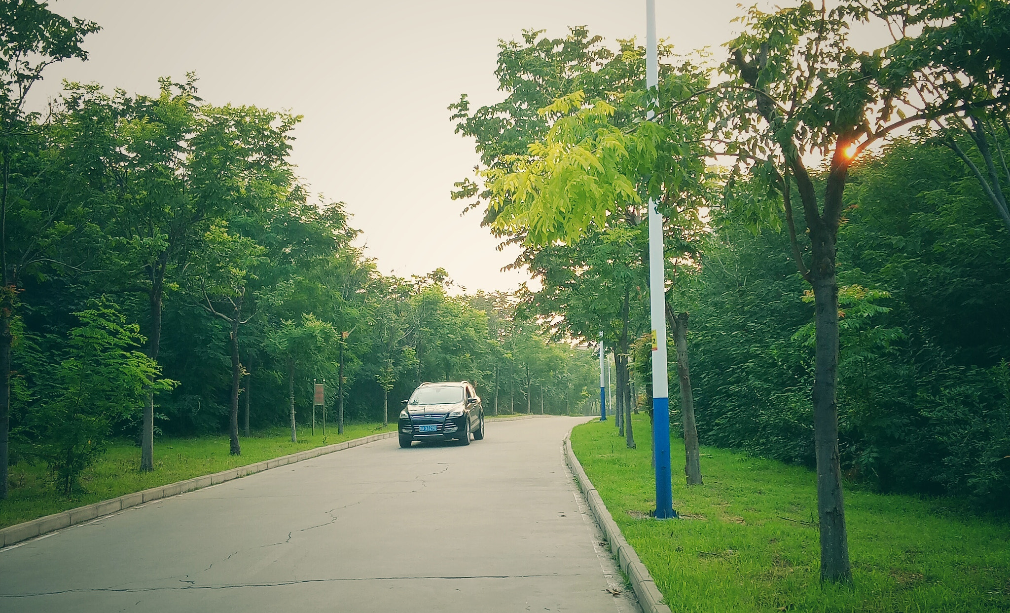 OPPO A37M sample photo