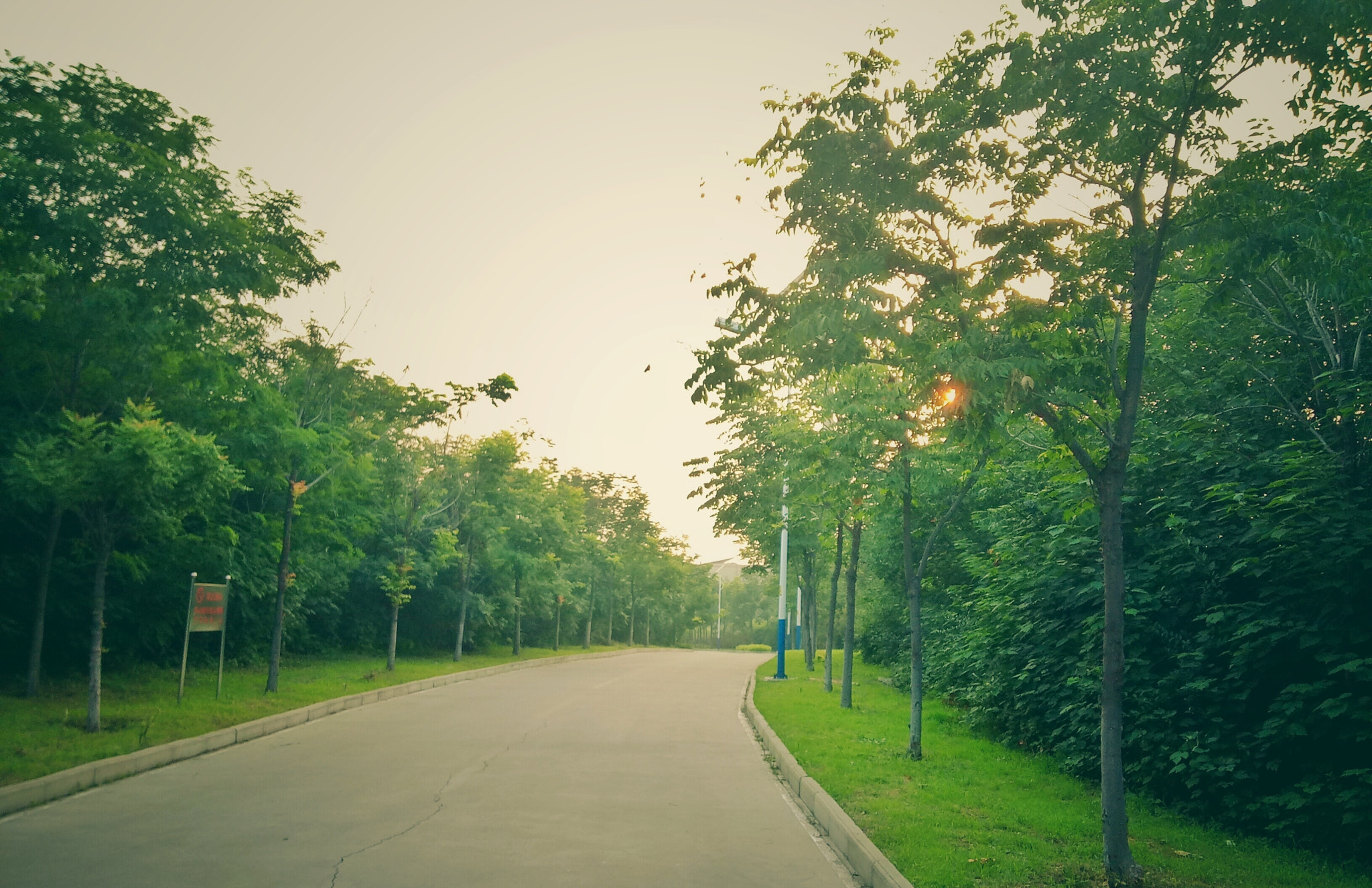 OPPO A37M sample photo