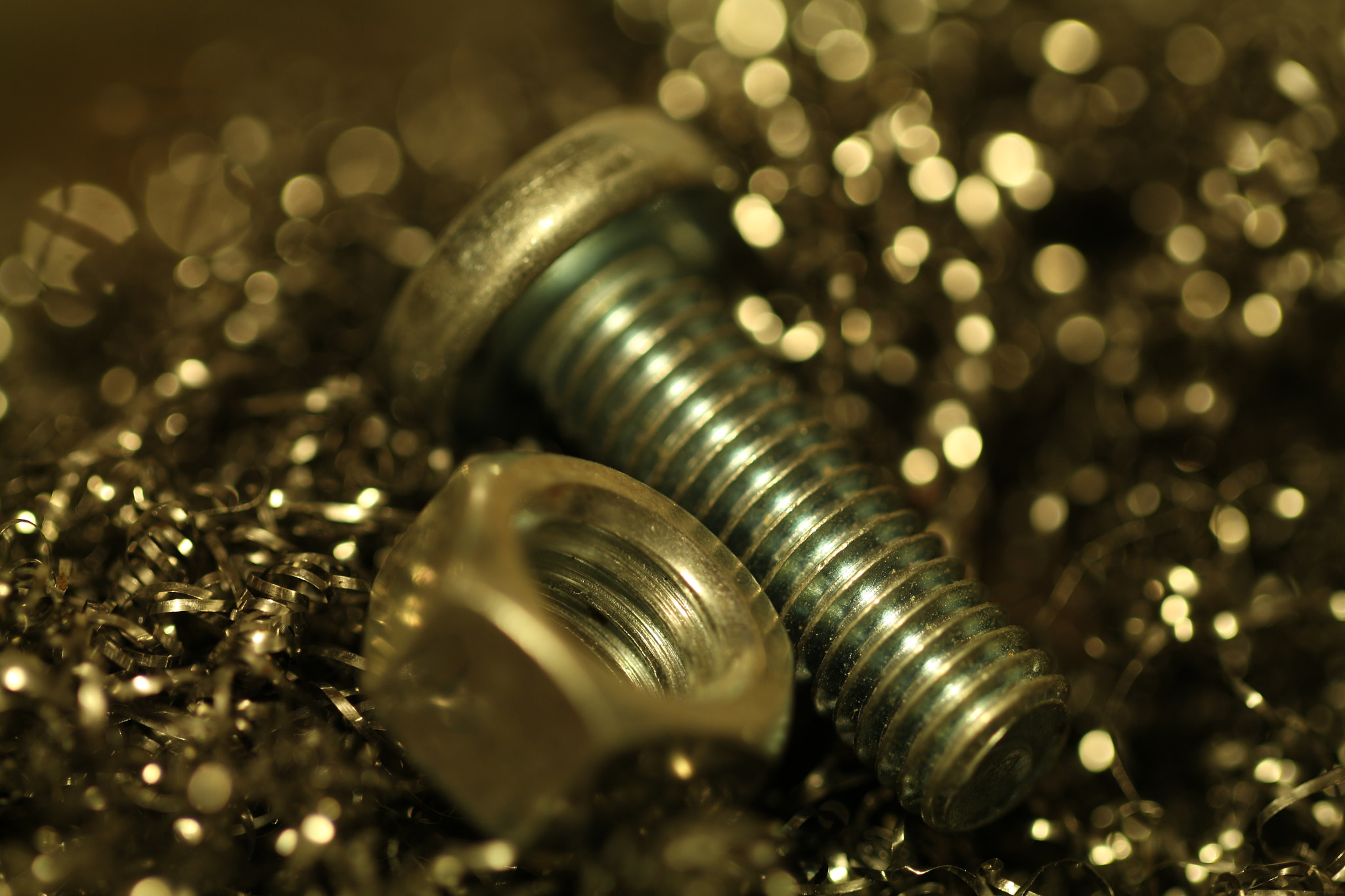 Canon EF 100mm F2.8L Macro IS USM sample photo. Screw photography