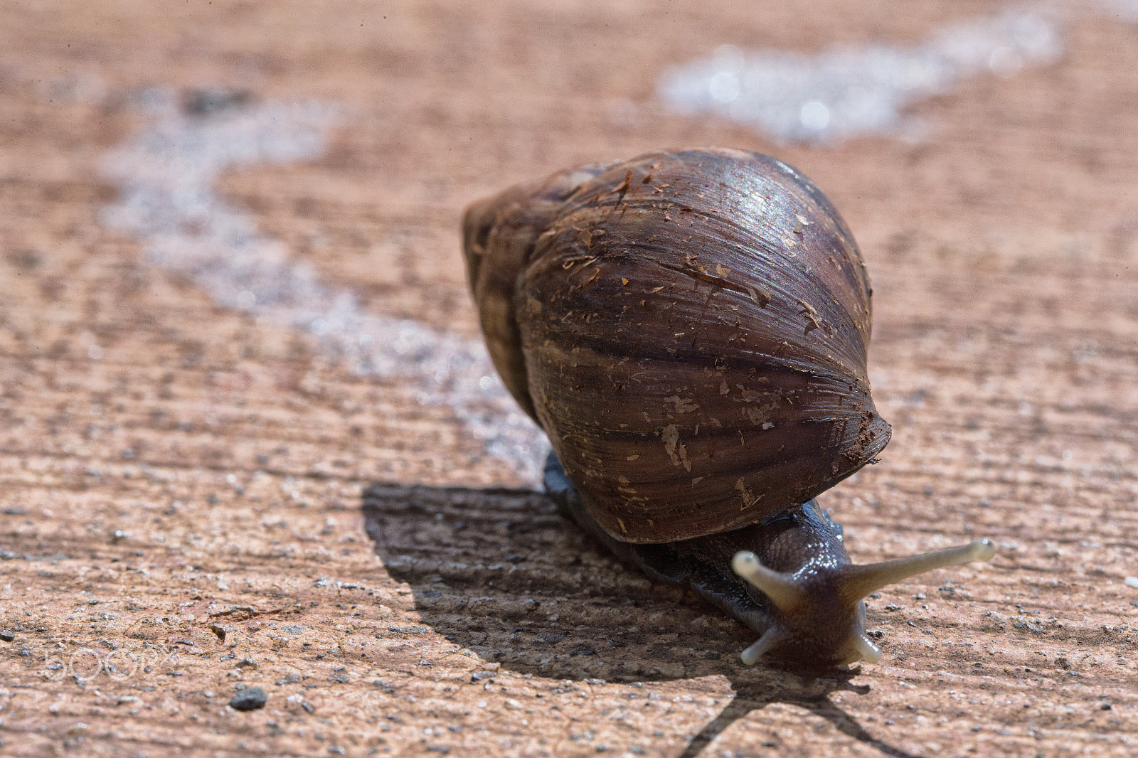 Canon EF 100mm F2.8L Macro IS USM sample photo. Snail trail photography