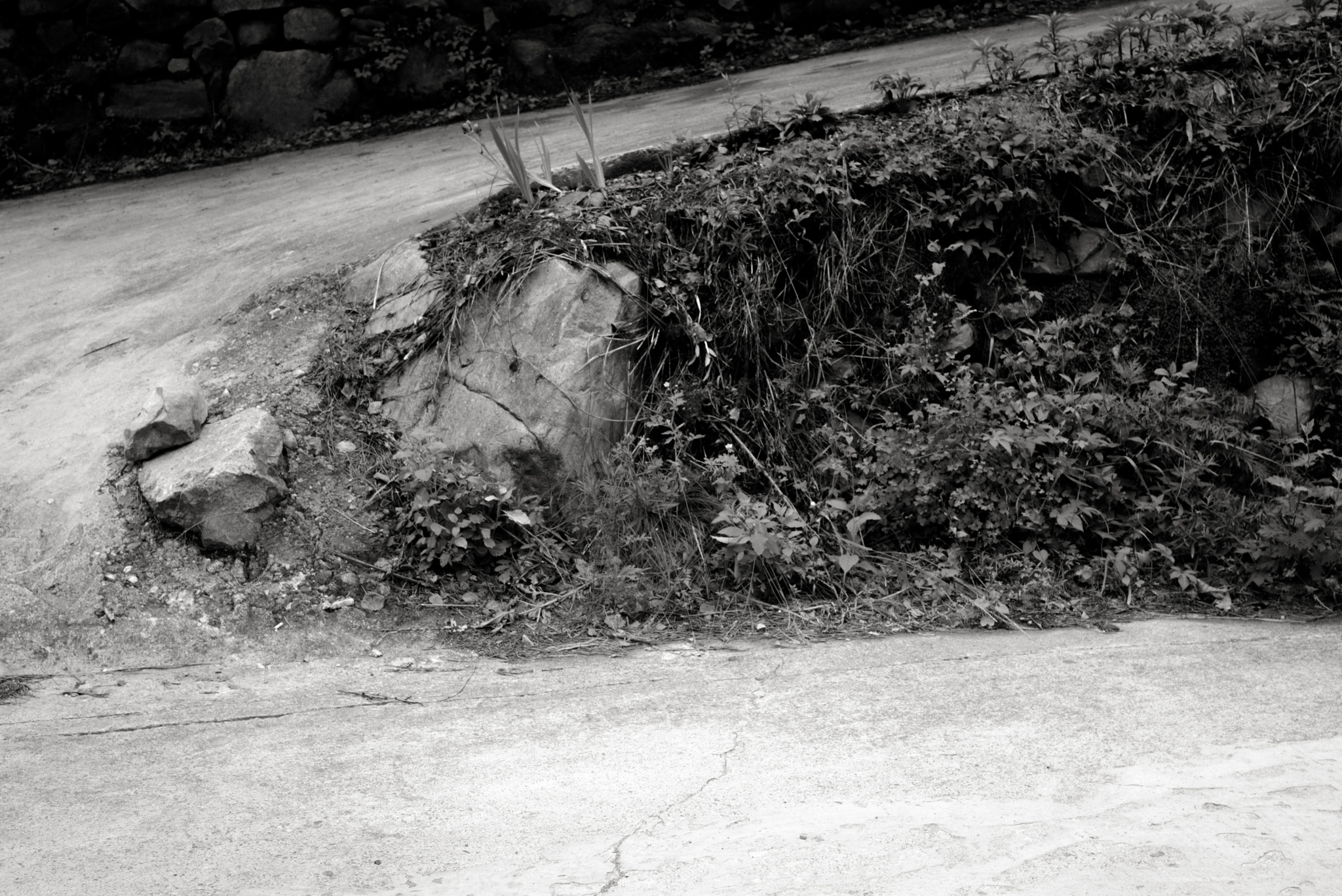 Leica APO-Summicron-M 50mm F2 ASPH sample photo. Mountain road-1 photography
