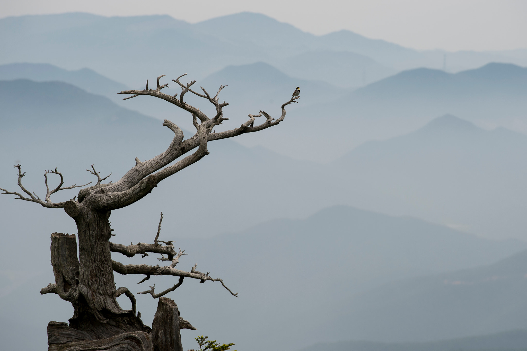 Nikon AF-S Nikkor 70-200mm F4G ED VR sample photo. Rest~~~! photography