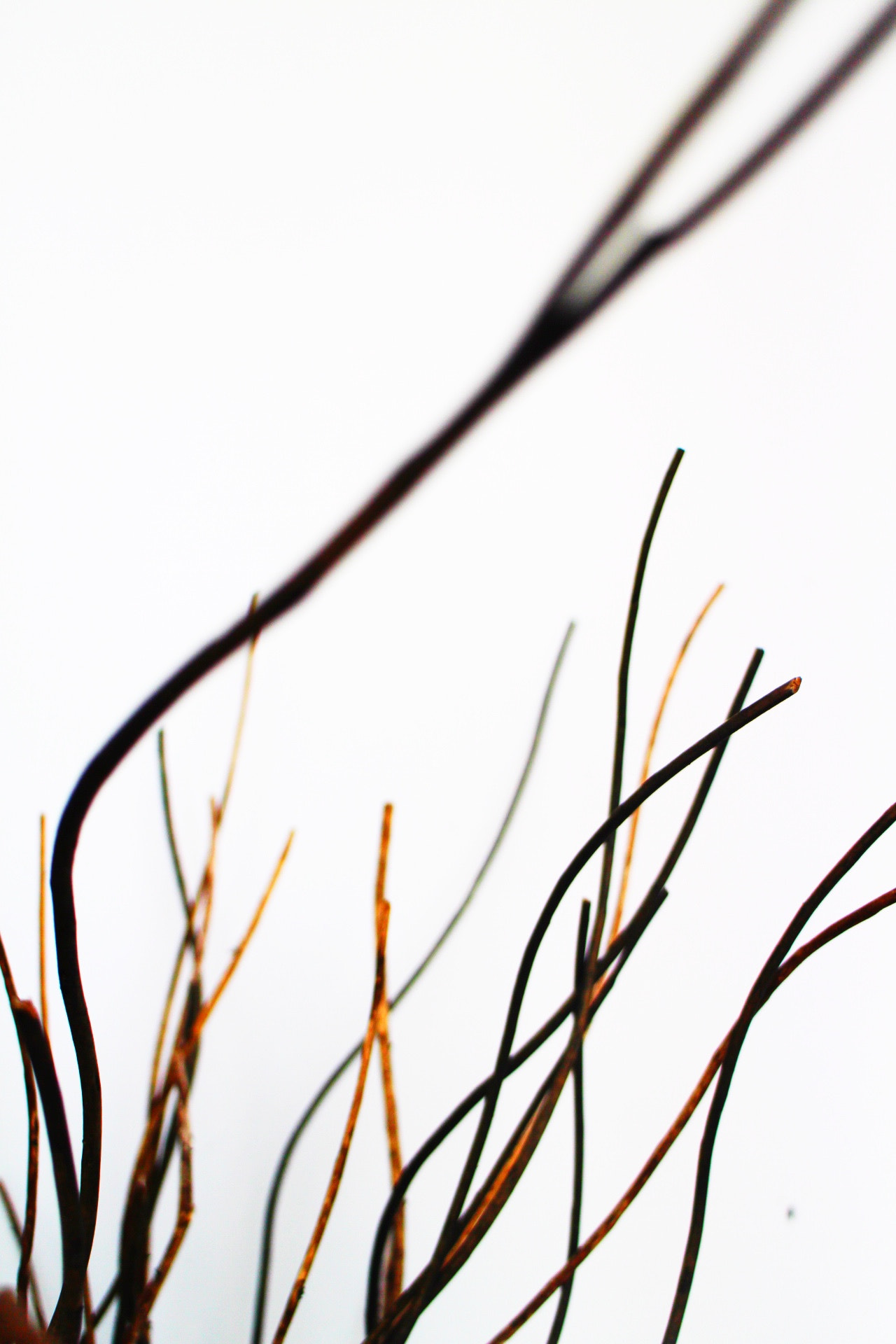 Canon EOS M2 sample photo