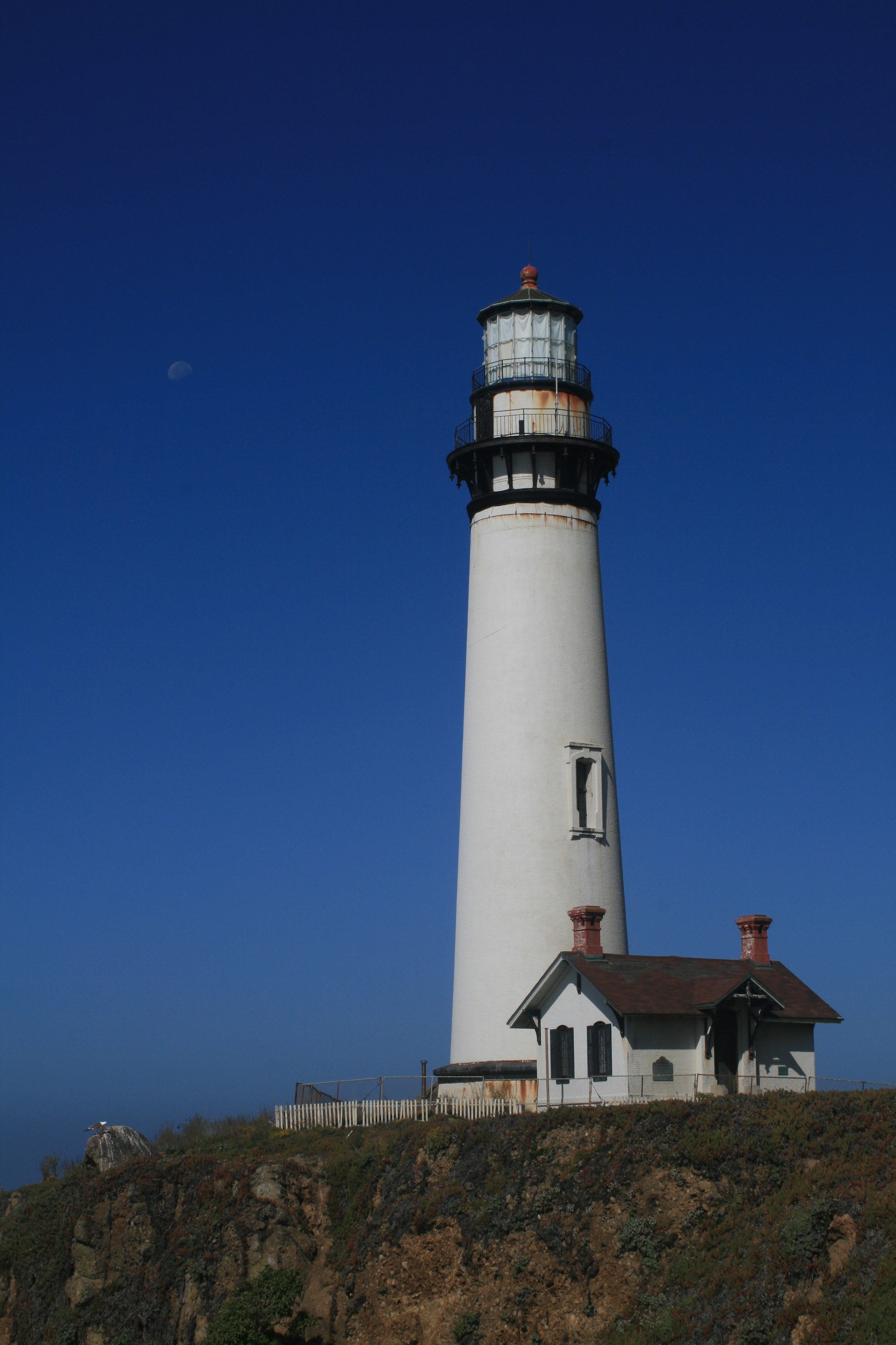 Canon EF 28-80mm f/3.5-5.6 sample photo. Pigeon point lighthouse photography