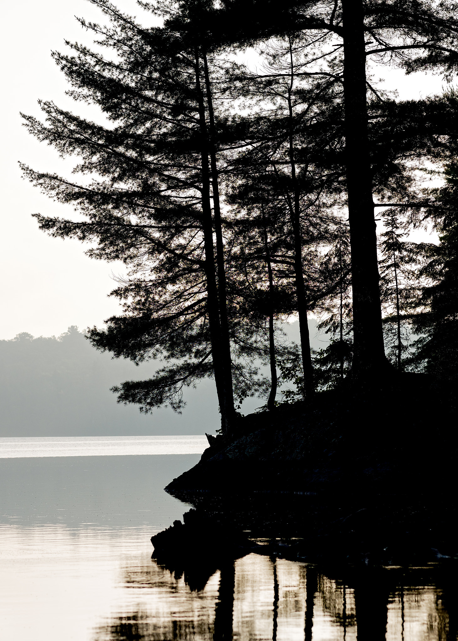 Olympus OM-D E-M1 + Olympus M.Zuiko Digital ED 75mm F1.8 sample photo. Burnt island lake, algonquin park photography