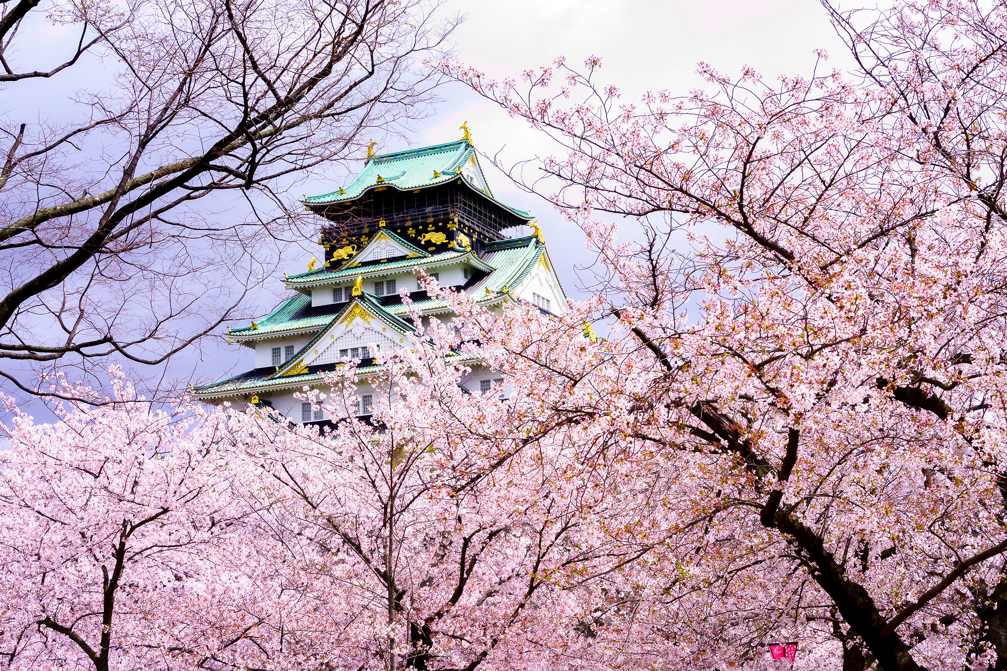 Sony Alpha NEX-7 + 35mm F2.8 ZA sample photo. Pink castle photography