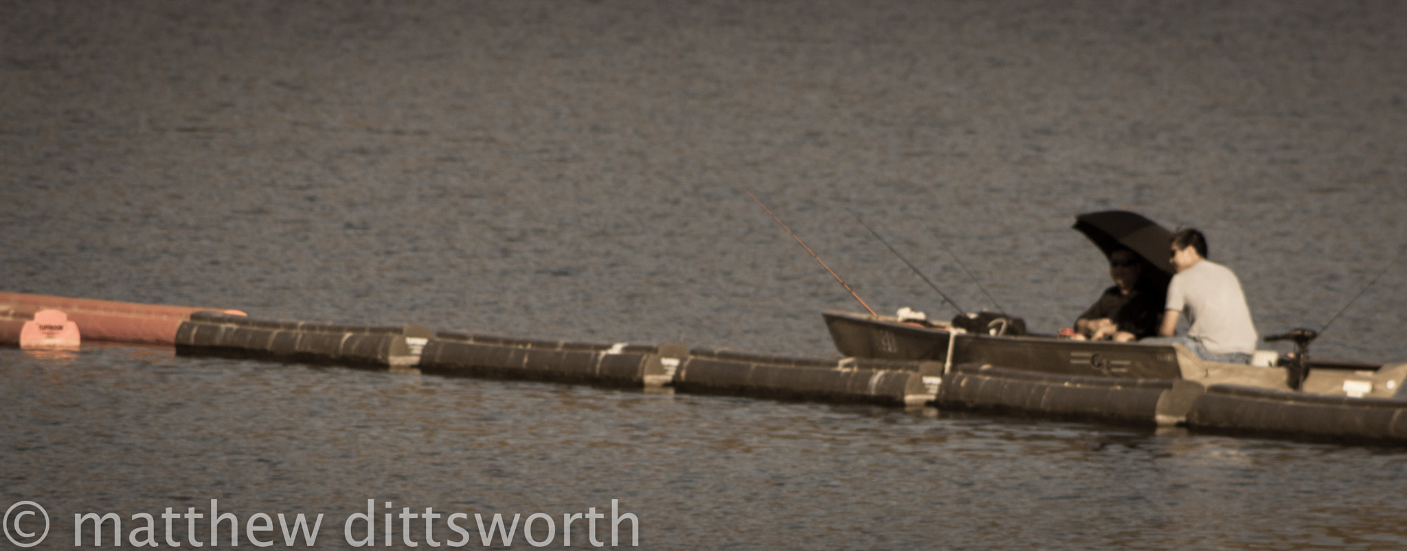 Canon EF 75-300mm f/4-5.6 USM sample photo. 20160701-_mg_8203.jpg photography