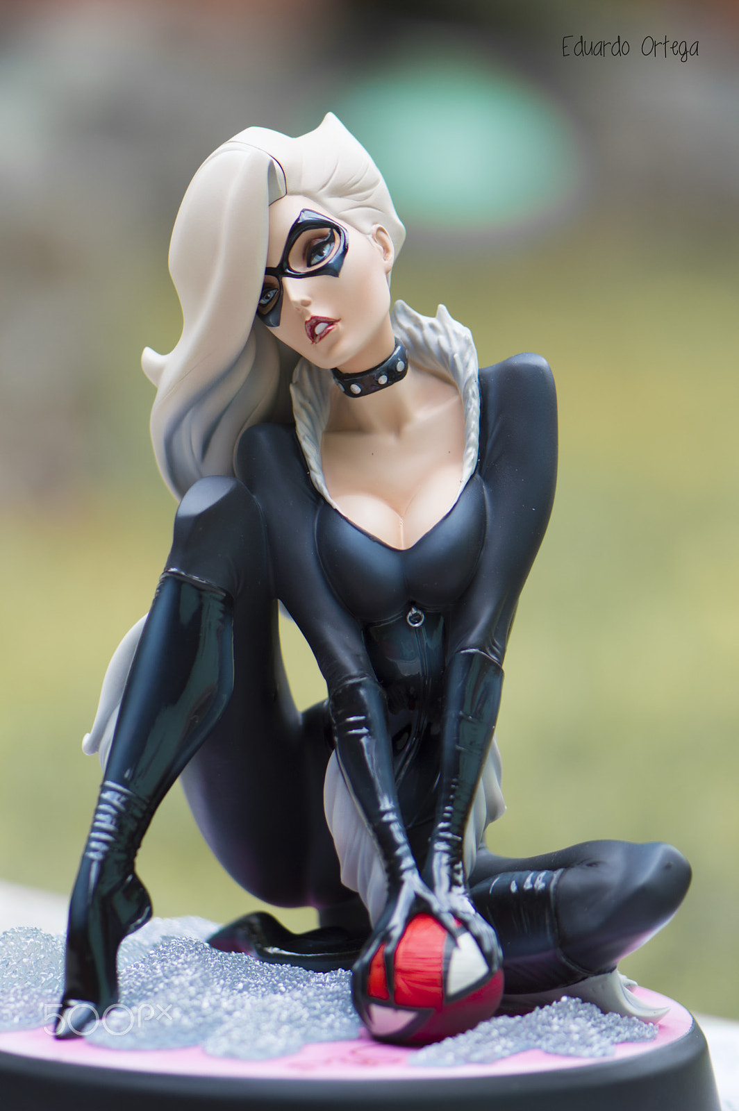 Nikon AF-S Micro-Nikkor 105mm F2.8G IF-ED VR sample photo. Black cat photography