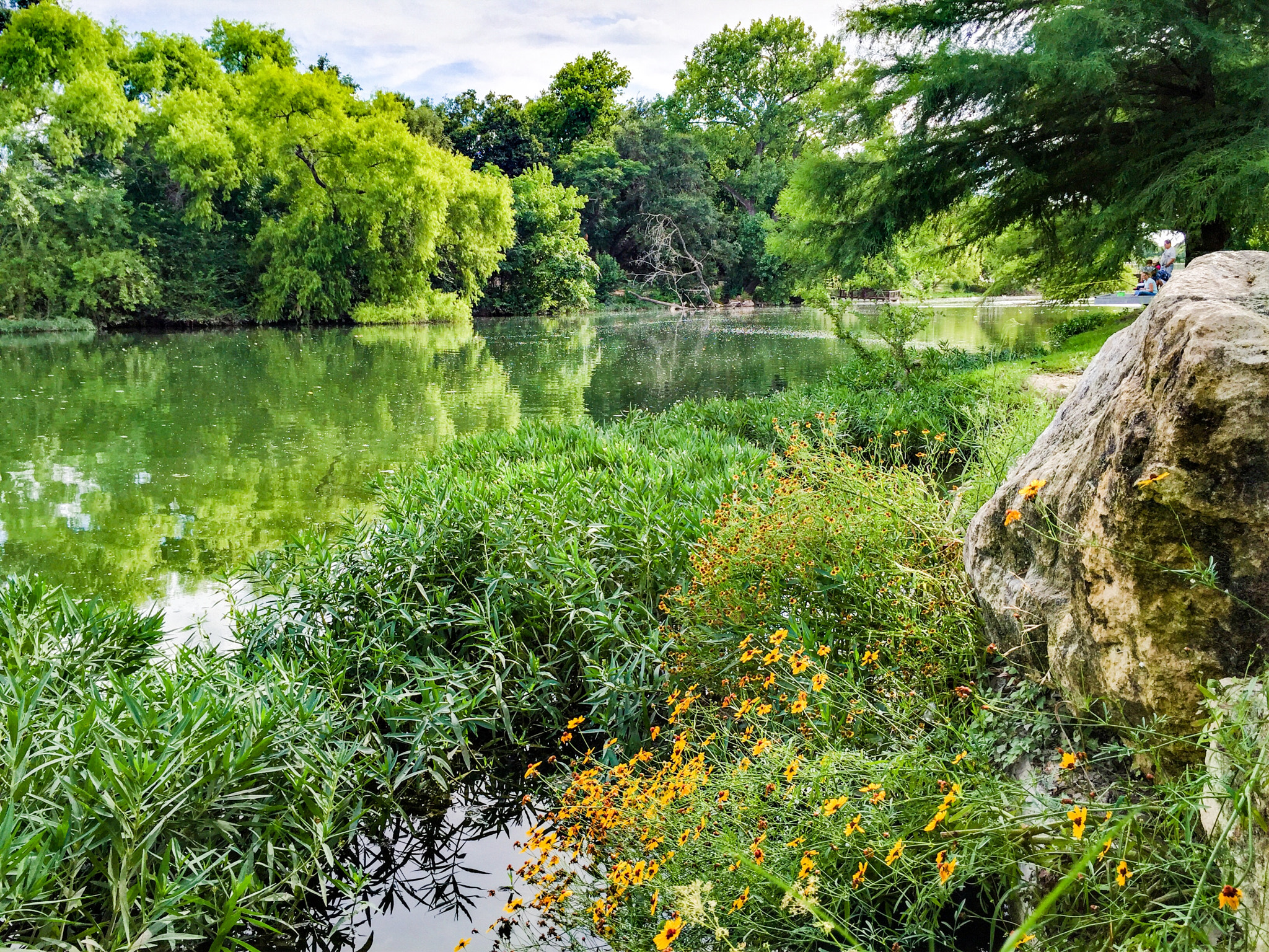 Apple iPhone sample photo. Peaceful creek photography