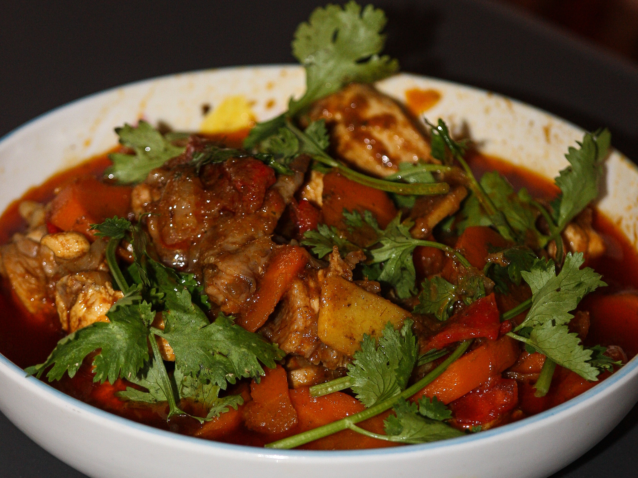 Canon EOS 450D (EOS Rebel XSi / EOS Kiss X2) sample photo. Pollo al curry de malasia photography
