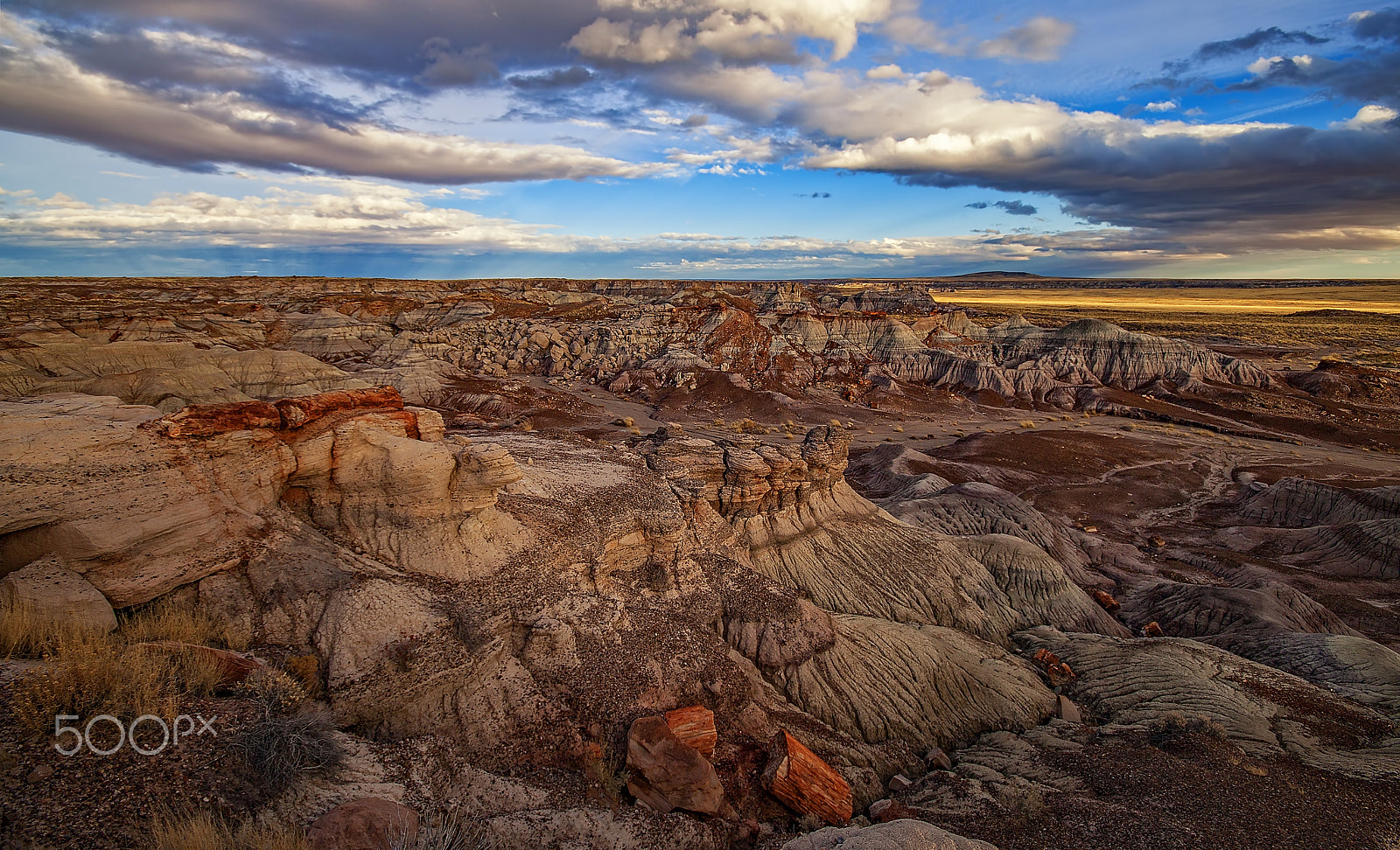 Sigma 10-20mm F4-5.6 EX DC HSM sample photo. Petrified photography